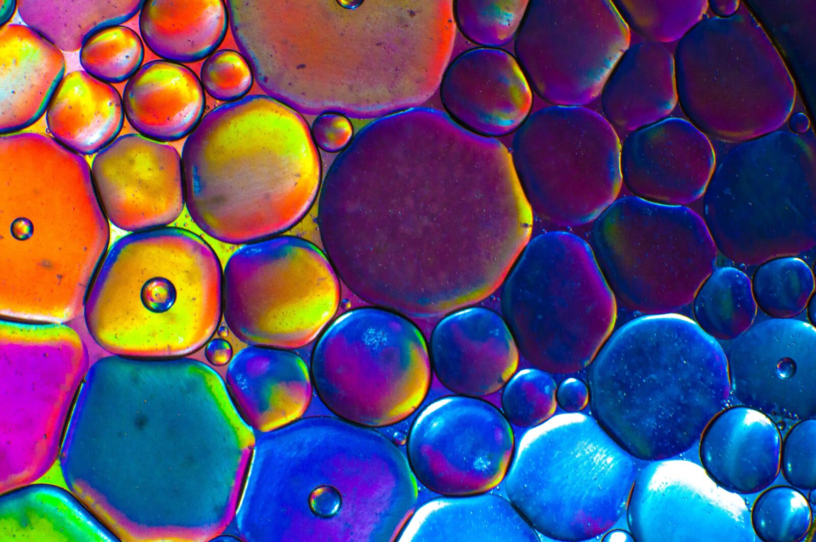 Nikon D90 sample photo. Macro, wheels, colors photography