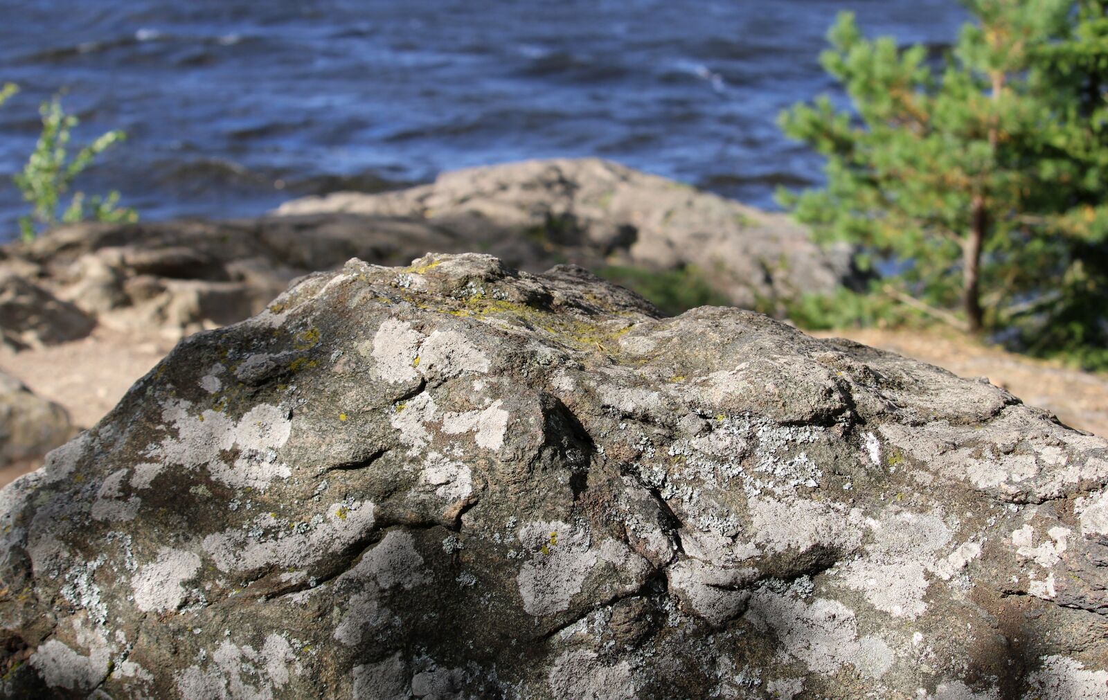 Canon EF-S 55-250mm F4-5.6 IS STM sample photo. Rock, stone, lichen photography