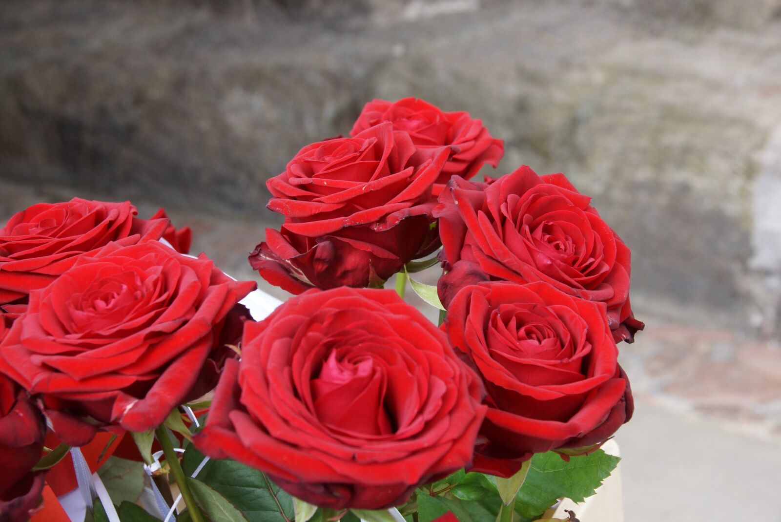 Sony SLT-A77 sample photo. Rose, red, bridal bouquet photography