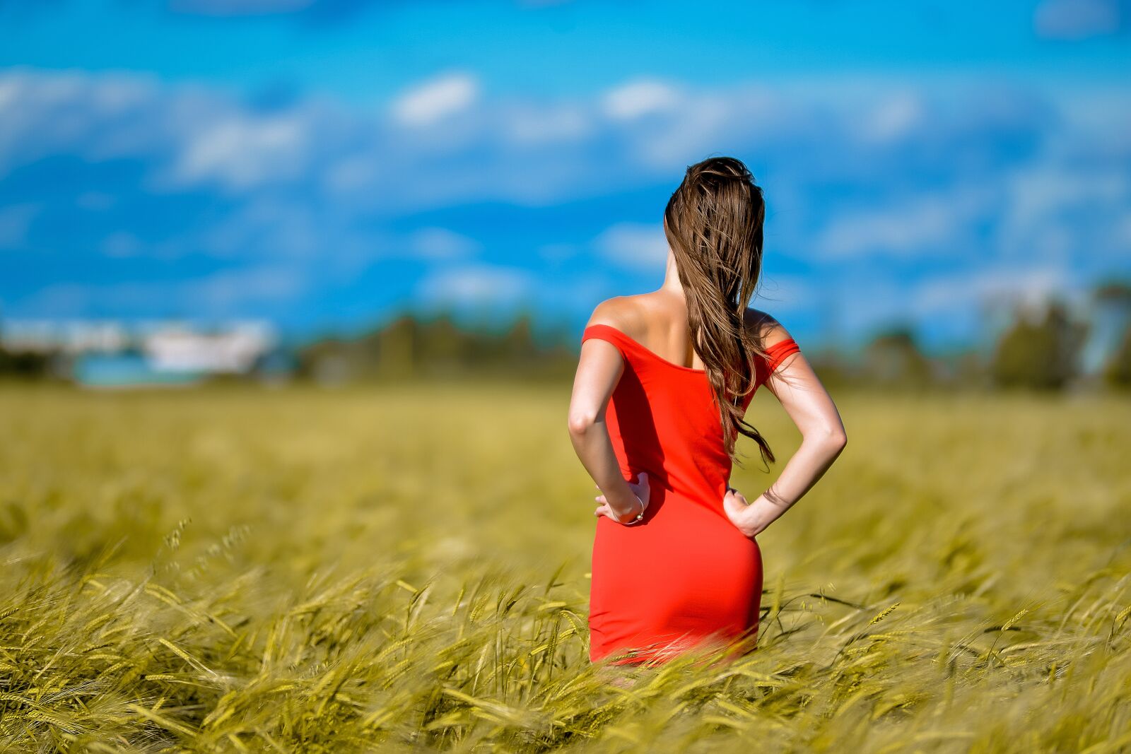 Nikon D800 sample photo. Girl, red dress, figure photography