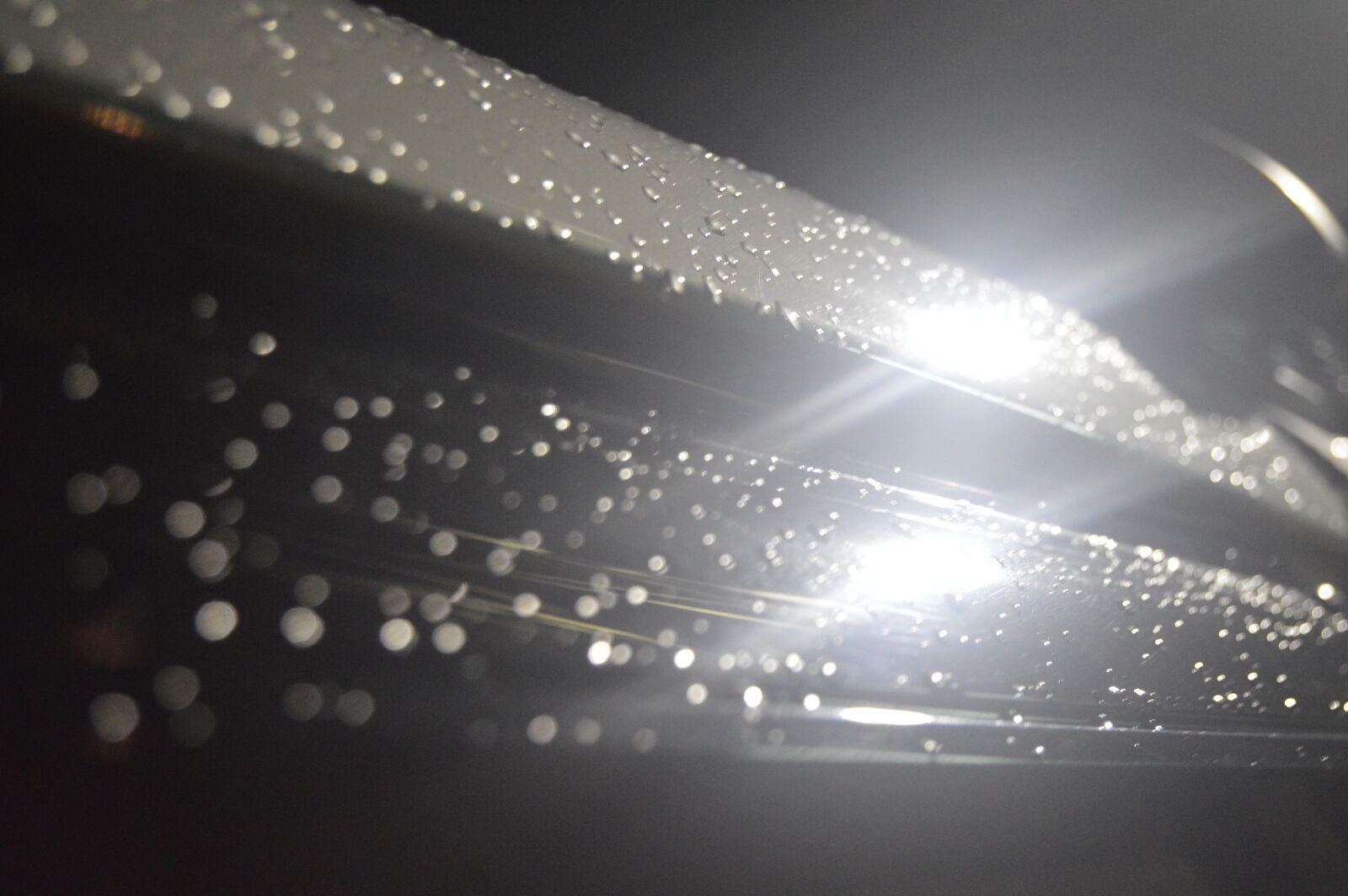 Nikon D3200 sample photo. Blur, bright, close, up photography