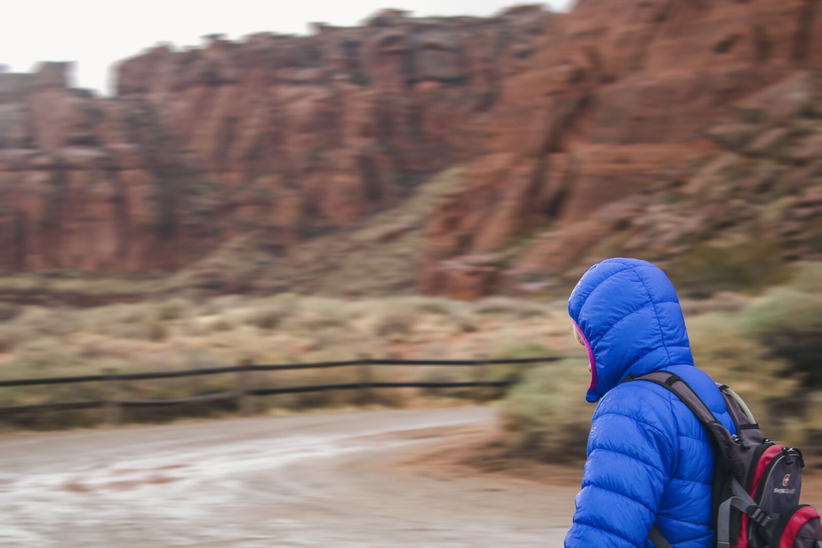 Canon EOS 600D (Rebel EOS T3i / EOS Kiss X5) sample photo. Hiking, blur, red rock photography