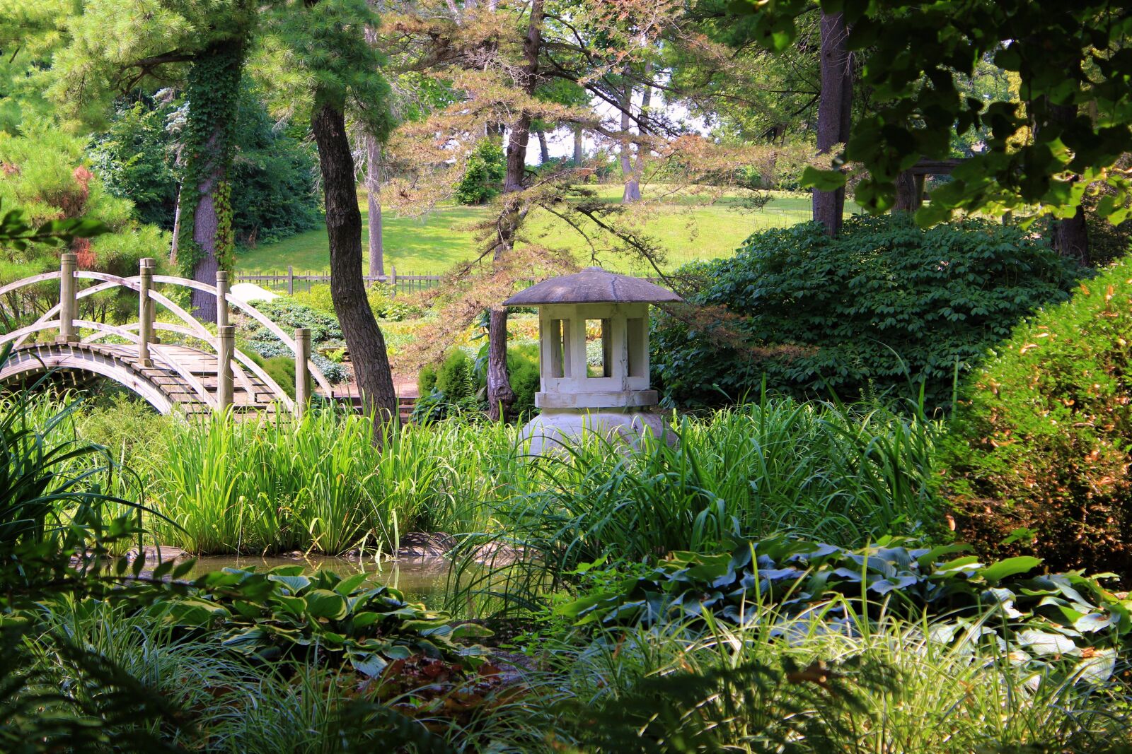 Canon EOS 1300D (EOS Rebel T6 / EOS Kiss X80) sample photo. Fabyan japanese tea garden photography
