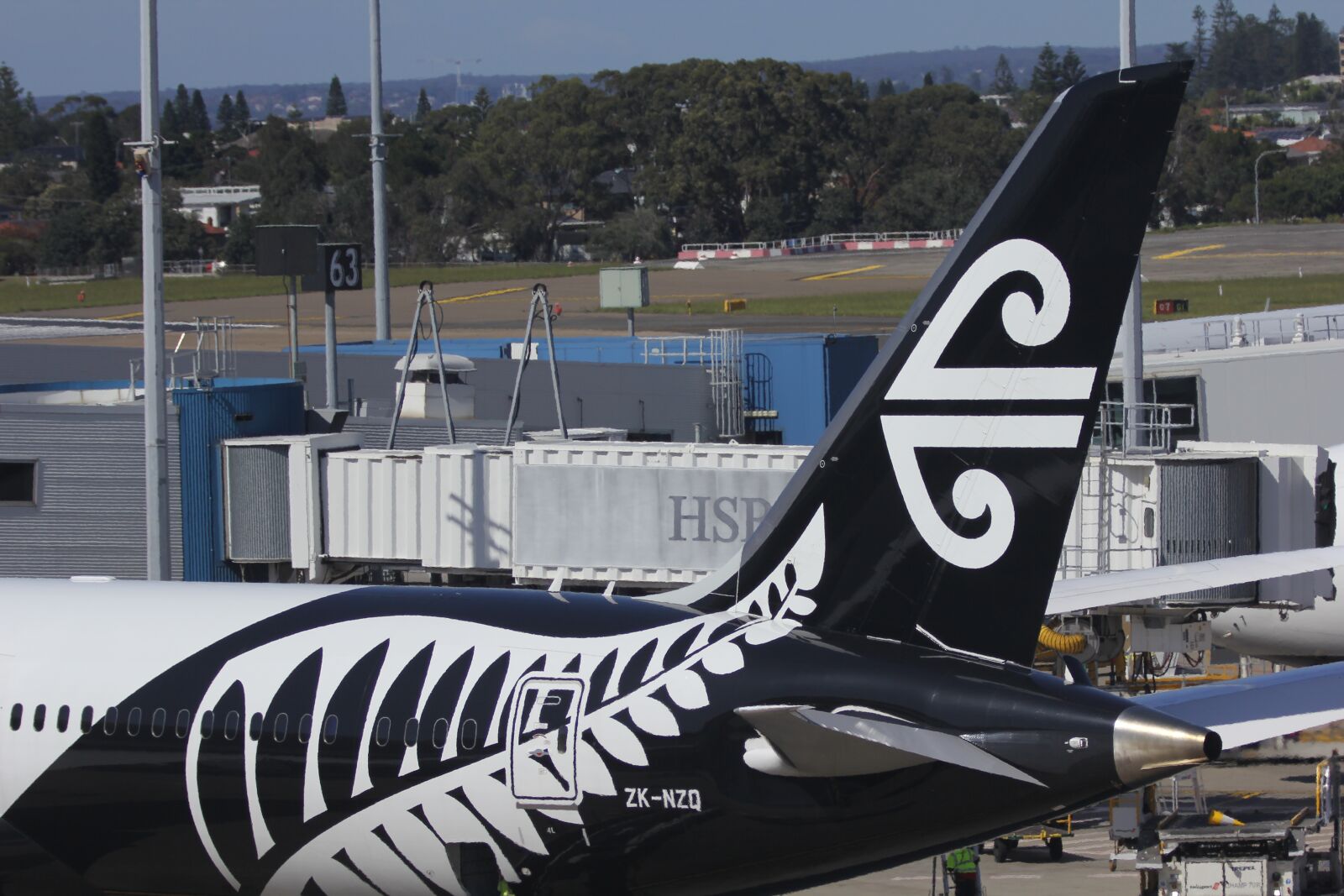 Canon EOS 60D sample photo. Airline, decals, air new photography