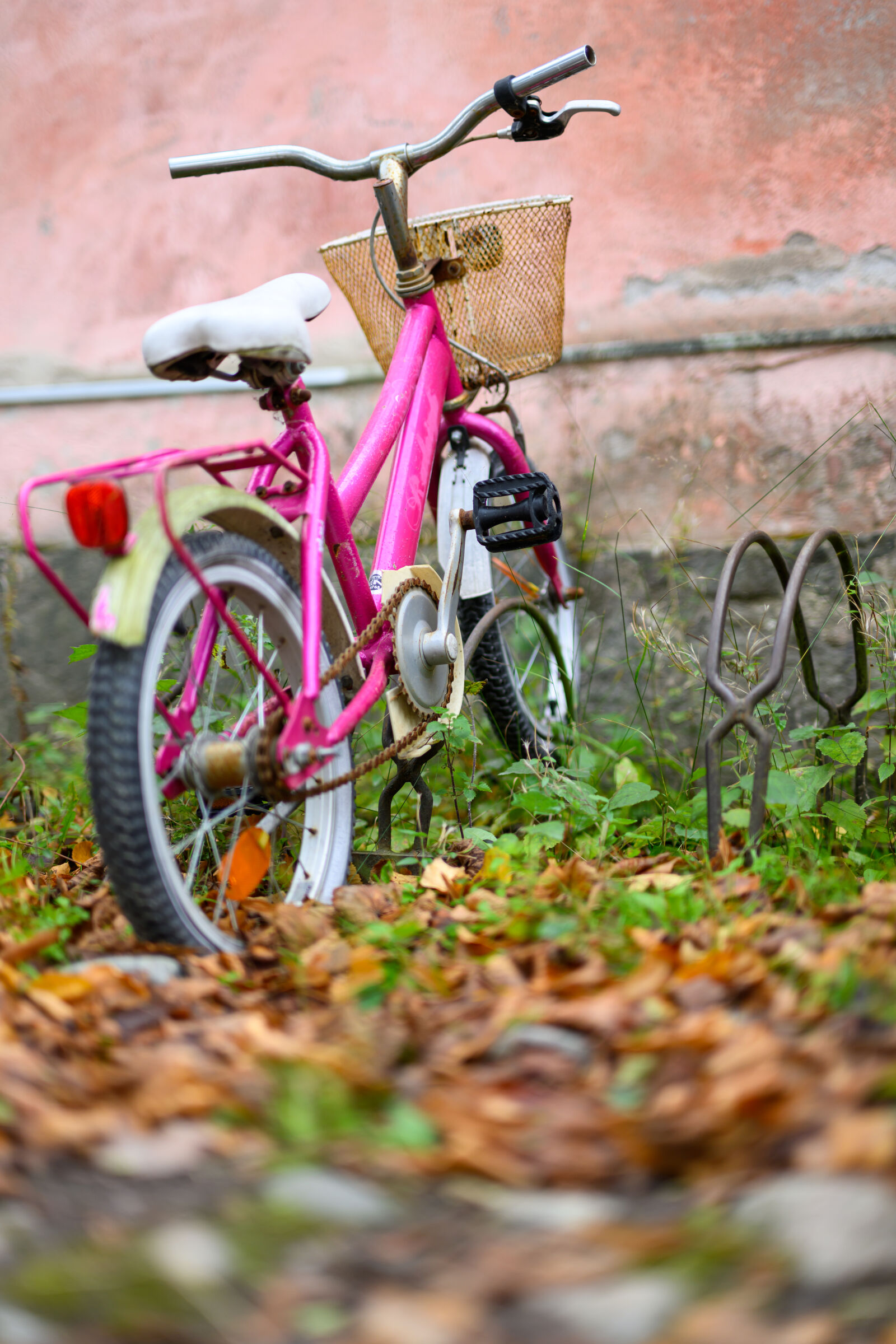 Nikon Z8 sample photo. Pink bicycle photography