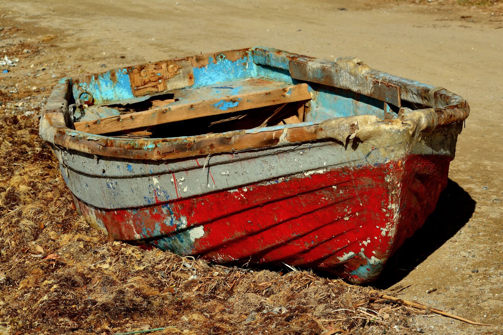 Nikon D3500 sample photo. Boat, abandoned, seaweeds photography