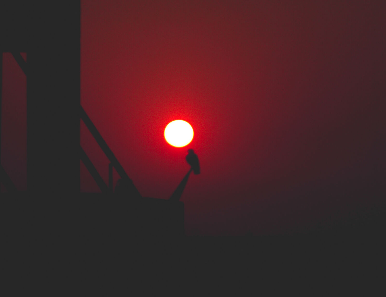 Nikon D3200 sample photo