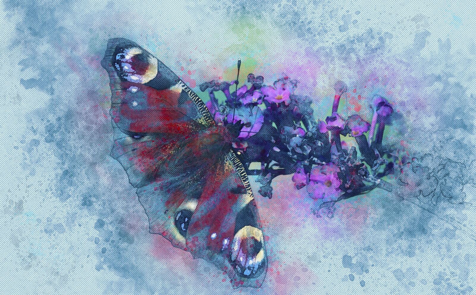 Nikon D3300 sample photo. Peacock, butterfly, insect photography