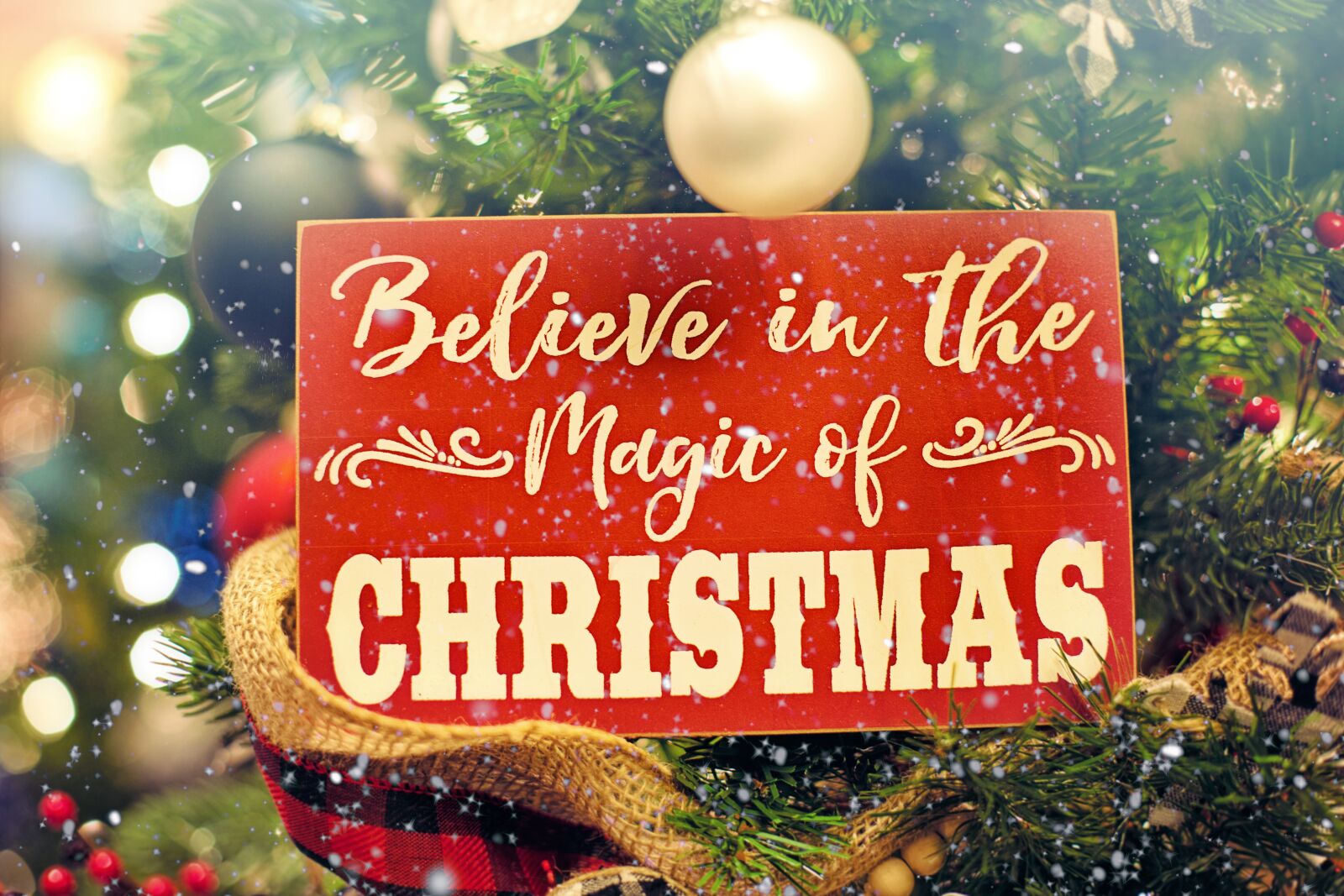 Canon EF 50mm F1.4 USM sample photo. Christmas, saying, believe photography