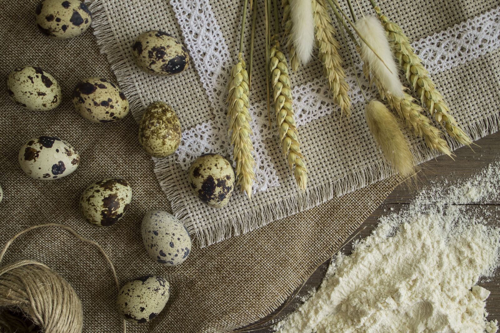 Canon EOS 1100D (EOS Rebel T3 / EOS Kiss X50) sample photo. Background, fabric, cotton photography