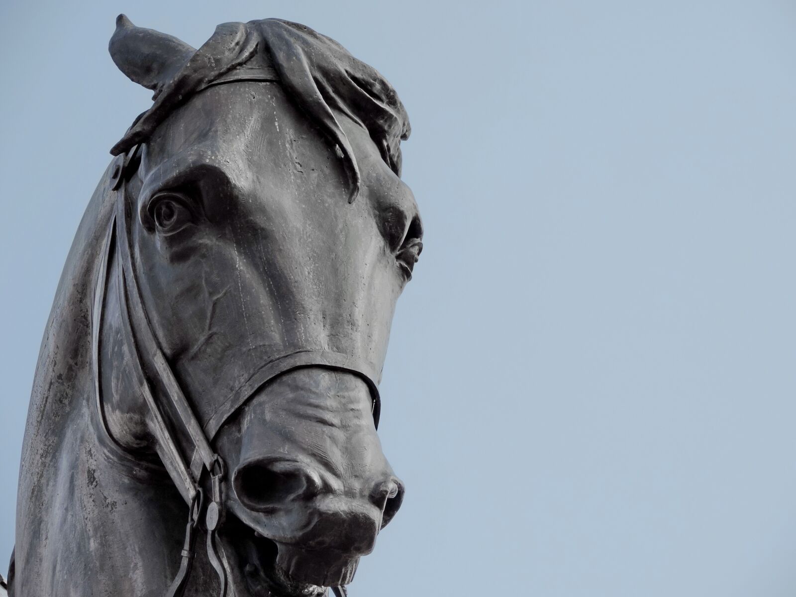 Nikon Coolpix P520 sample photo. Bronze, statue, sculpture, cavalry photography