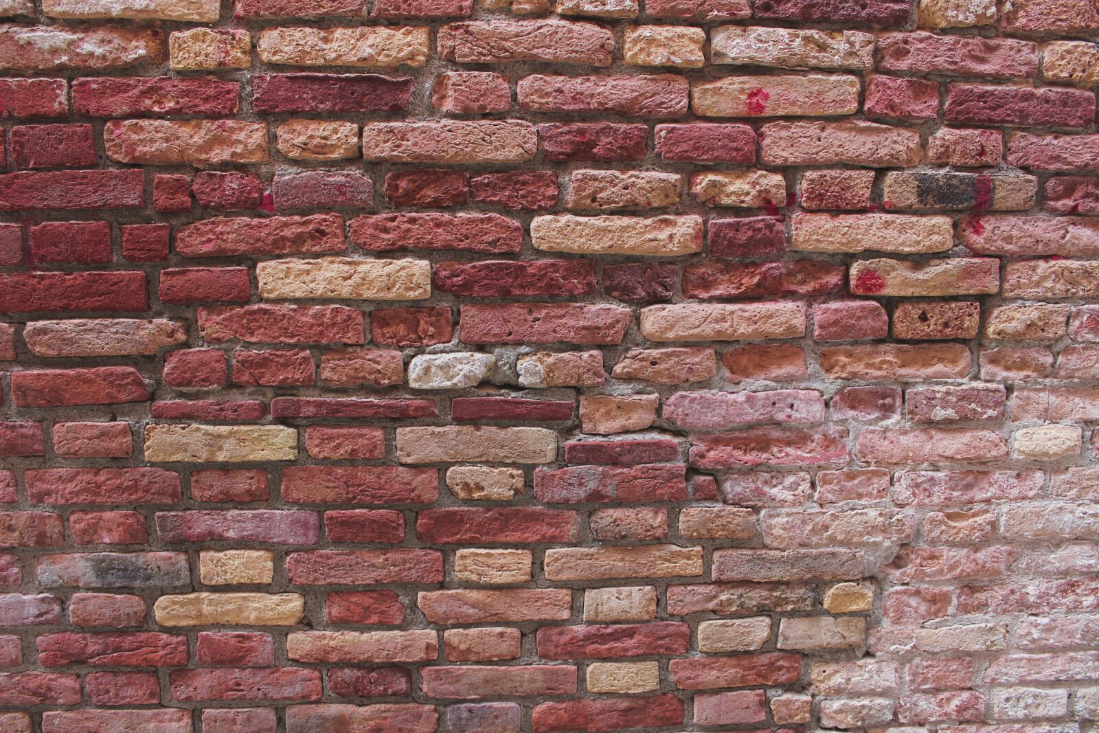 Canon EOS 600D (Rebel EOS T3i / EOS Kiss X5) sample photo. Brick, wall, cement photography