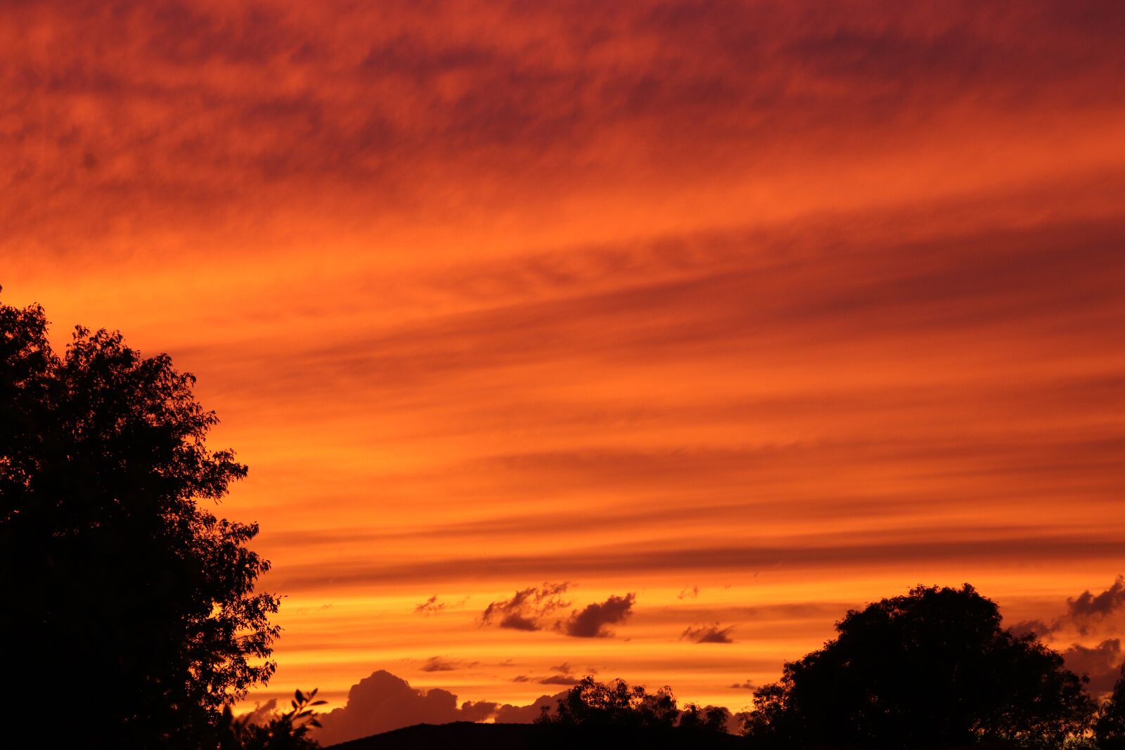 Canon EOS 200D (EOS Rebel SL2 / EOS Kiss X9) sample photo. Arizona, sunset, landscape photography