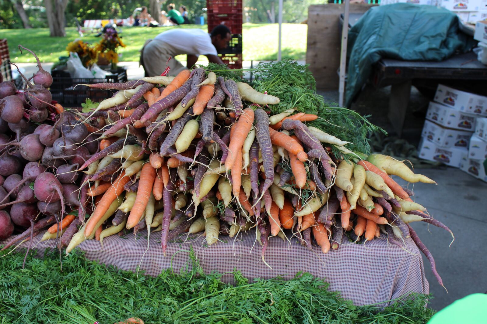 Canon EOS 600D (Rebel EOS T3i / EOS Kiss X5) sample photo. Carrots, color, boulder photography