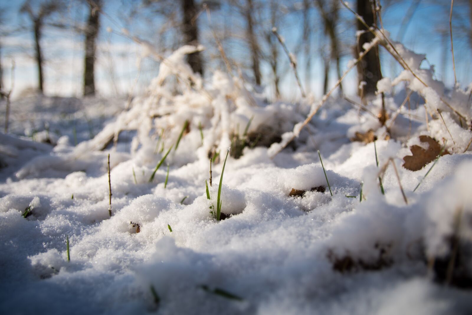 Nikon D7200 sample photo. Snow, winter, cold photography