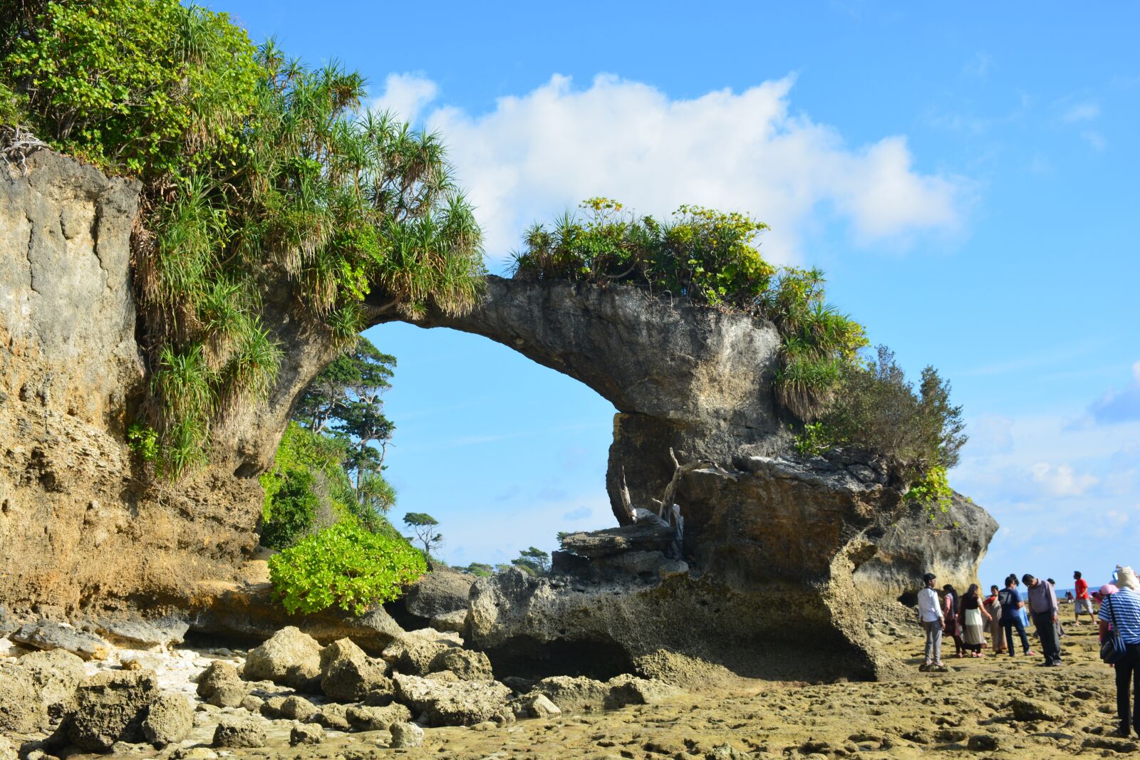Nikon D5200 sample photo