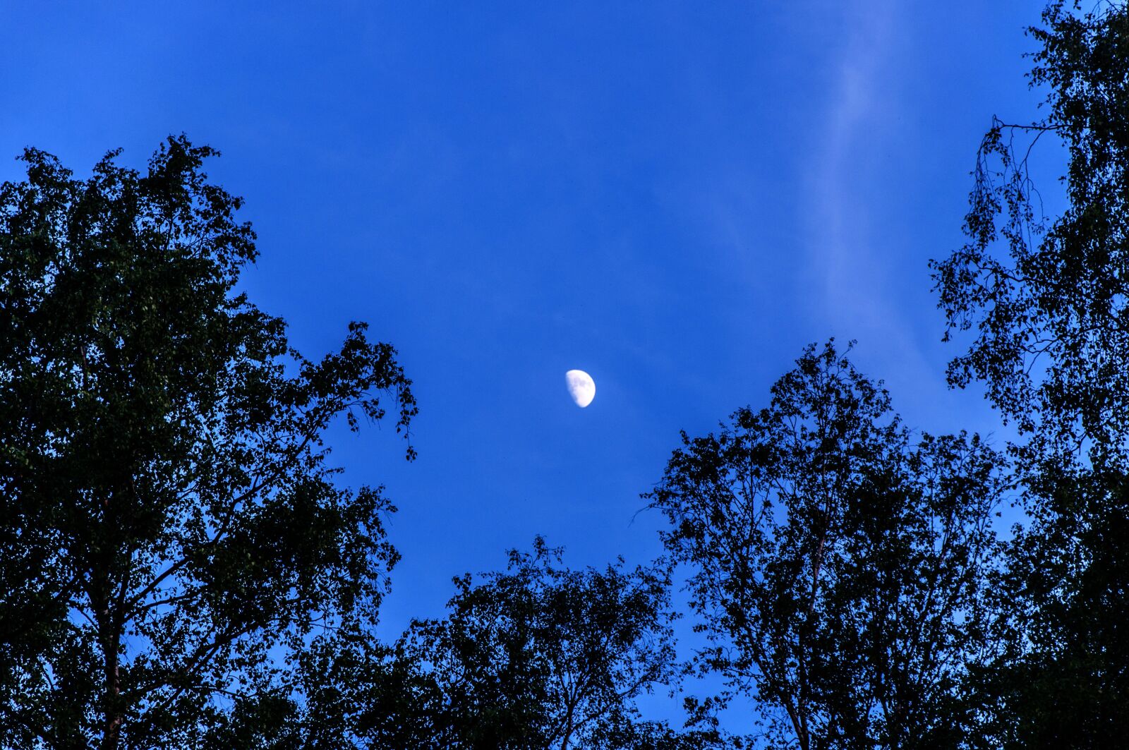 Nikon D5000 sample photo. Moon, sky, half moon photography