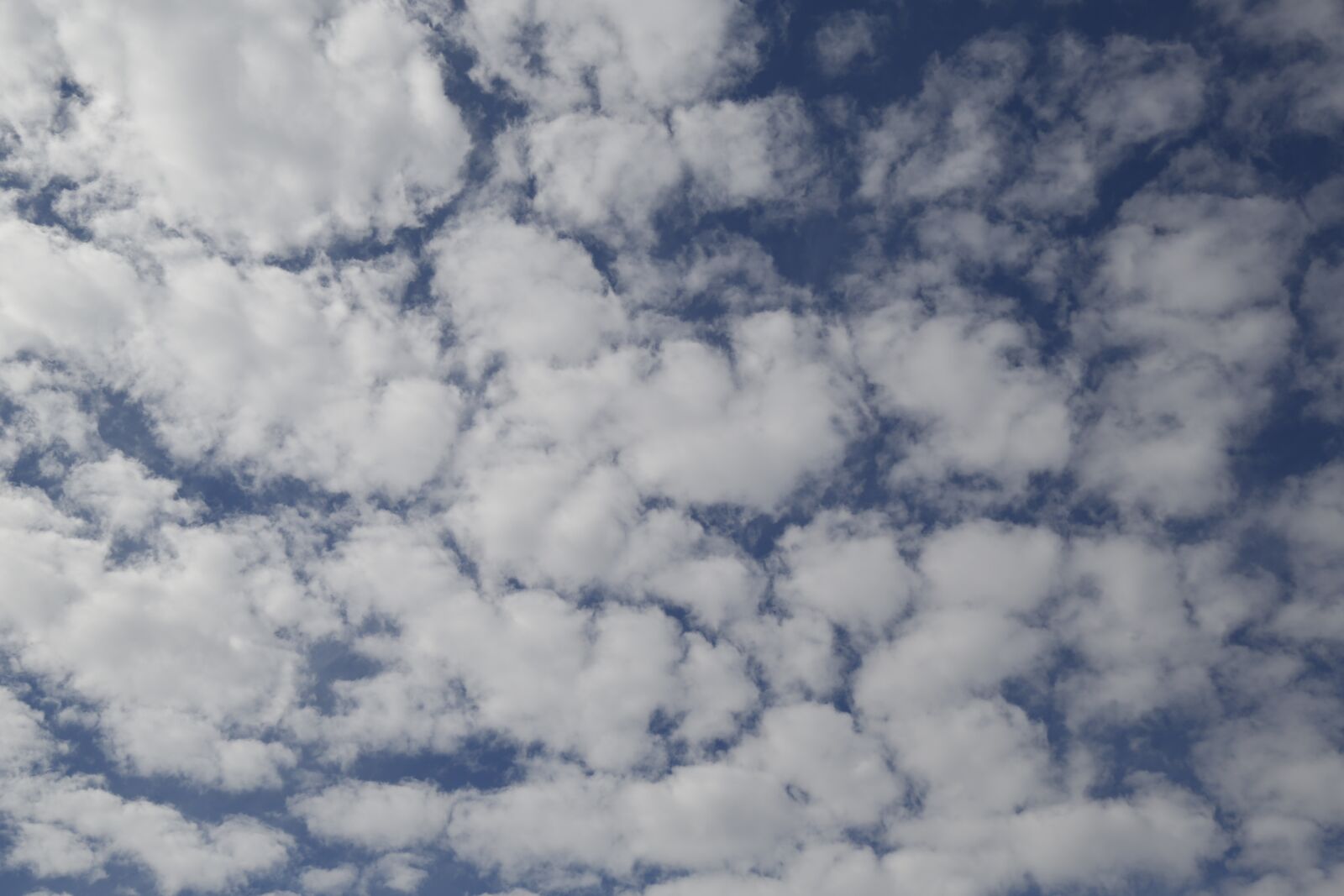Canon EF 24-105mm F4L IS USM sample photo. Clouds, sky, blue photography