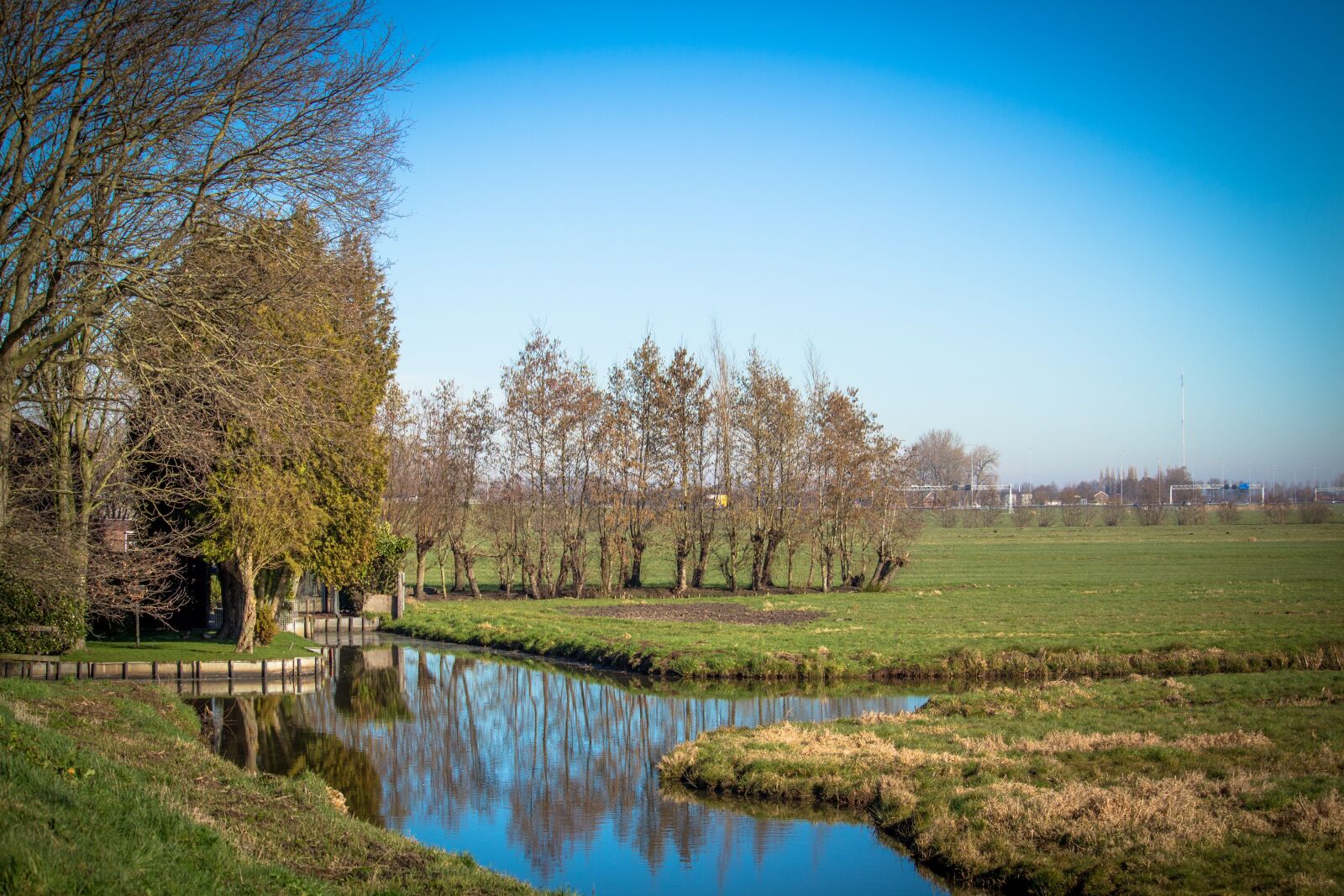 Canon EOS 100D (EOS Rebel SL1 / EOS Kiss X7) sample photo. Netherlands, ditch, pasture photography