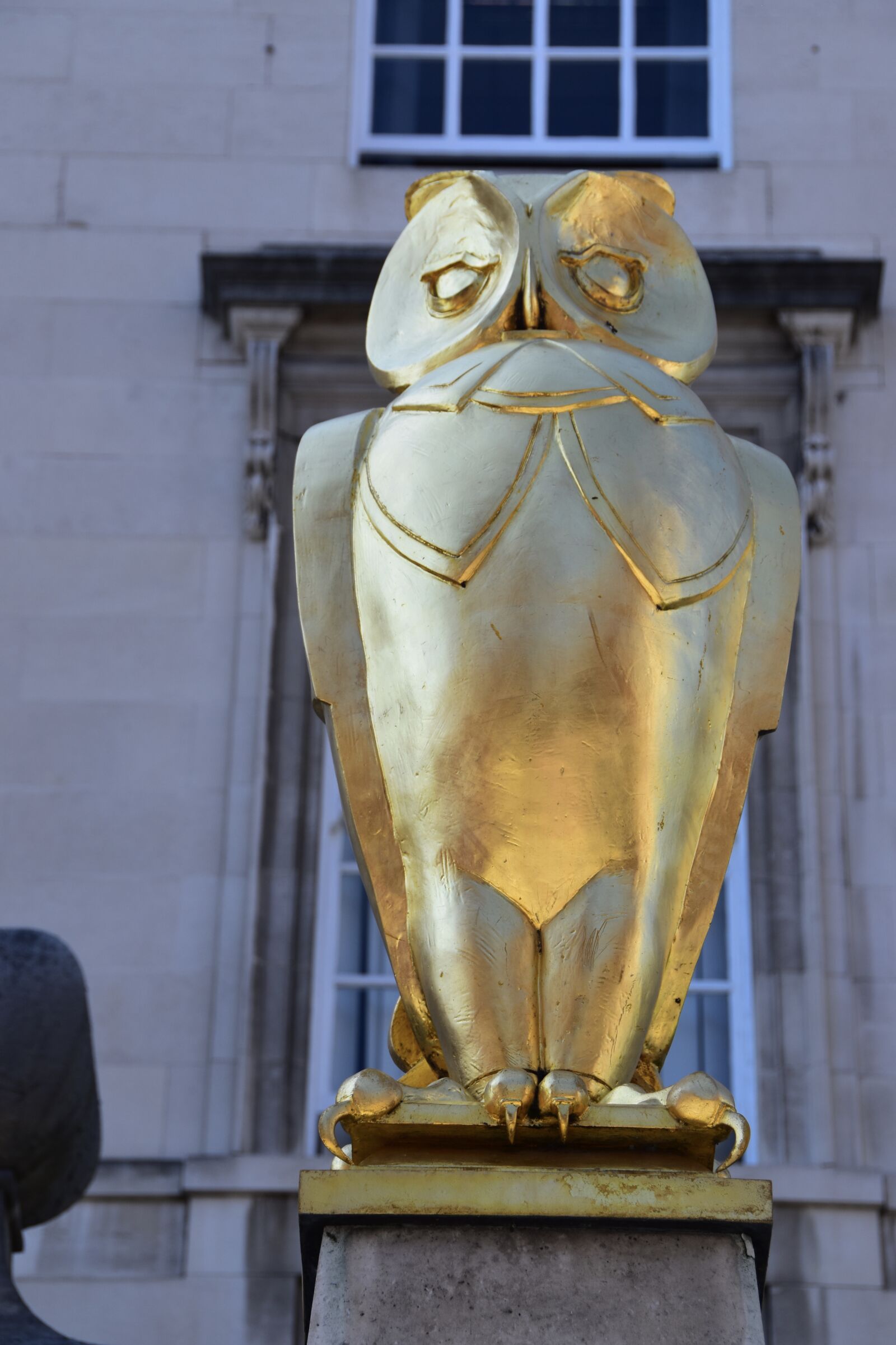 Nikon D5600 sample photo. Leeds, owl, city hall photography