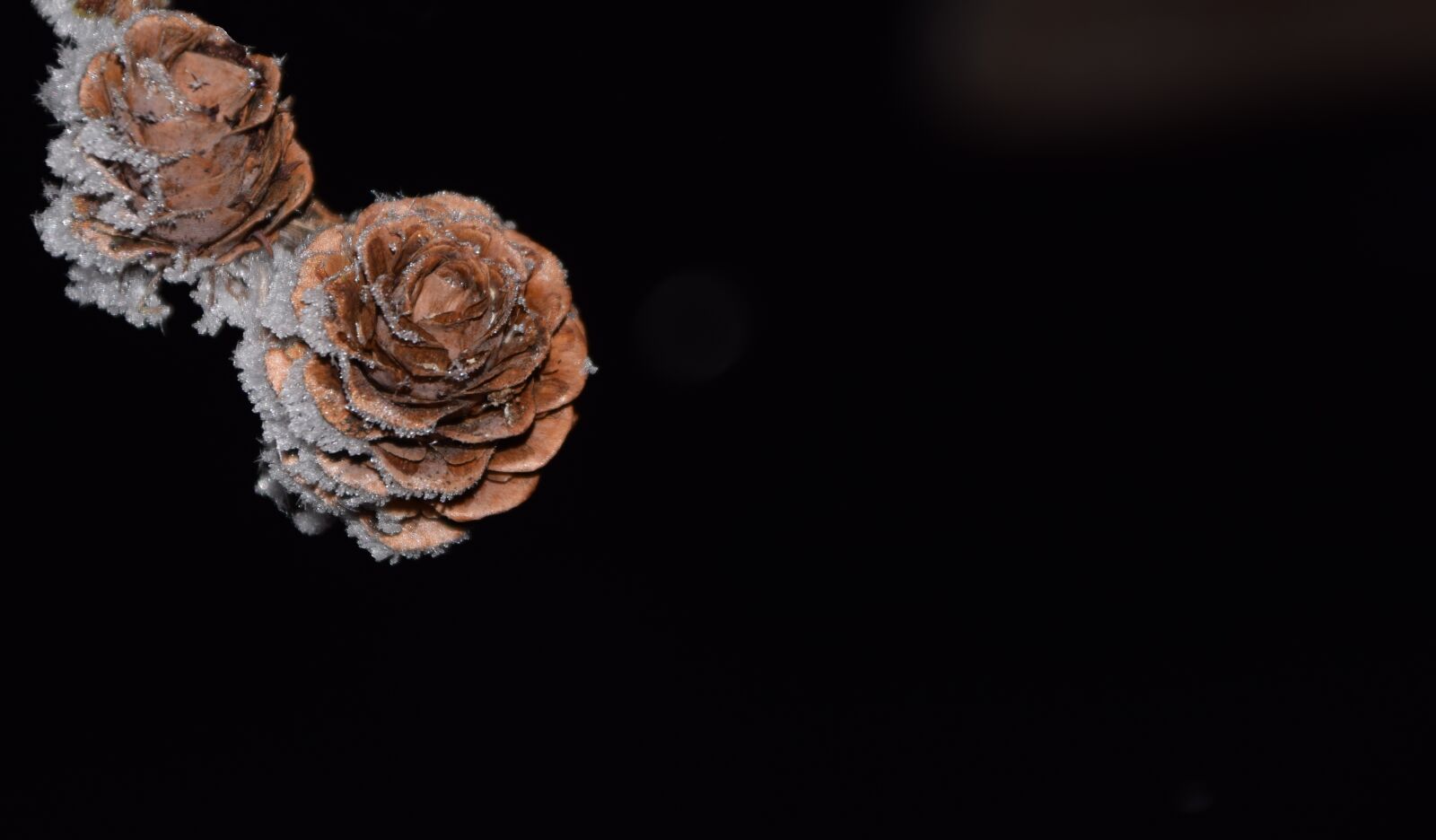 Nikon D3300 sample photo. Tap, frost, night photography