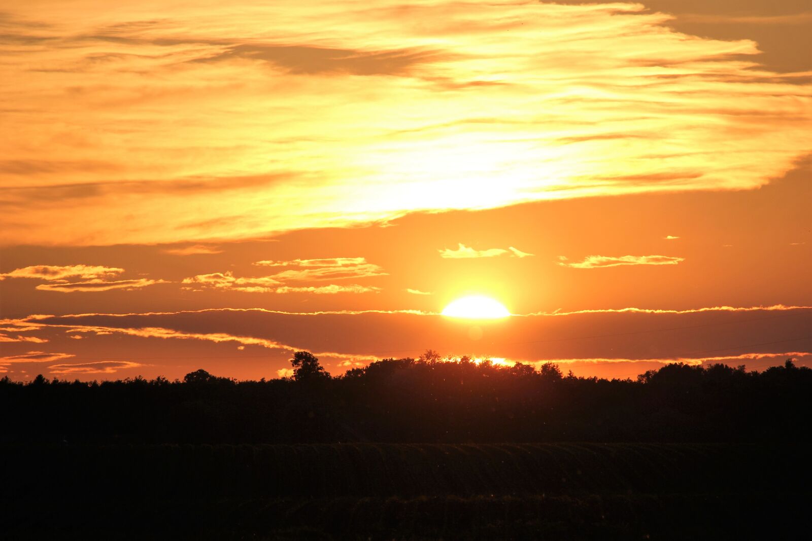 Canon EOS 550D (EOS Rebel T2i / EOS Kiss X4) sample photo. Sunset, evening, horizon photography