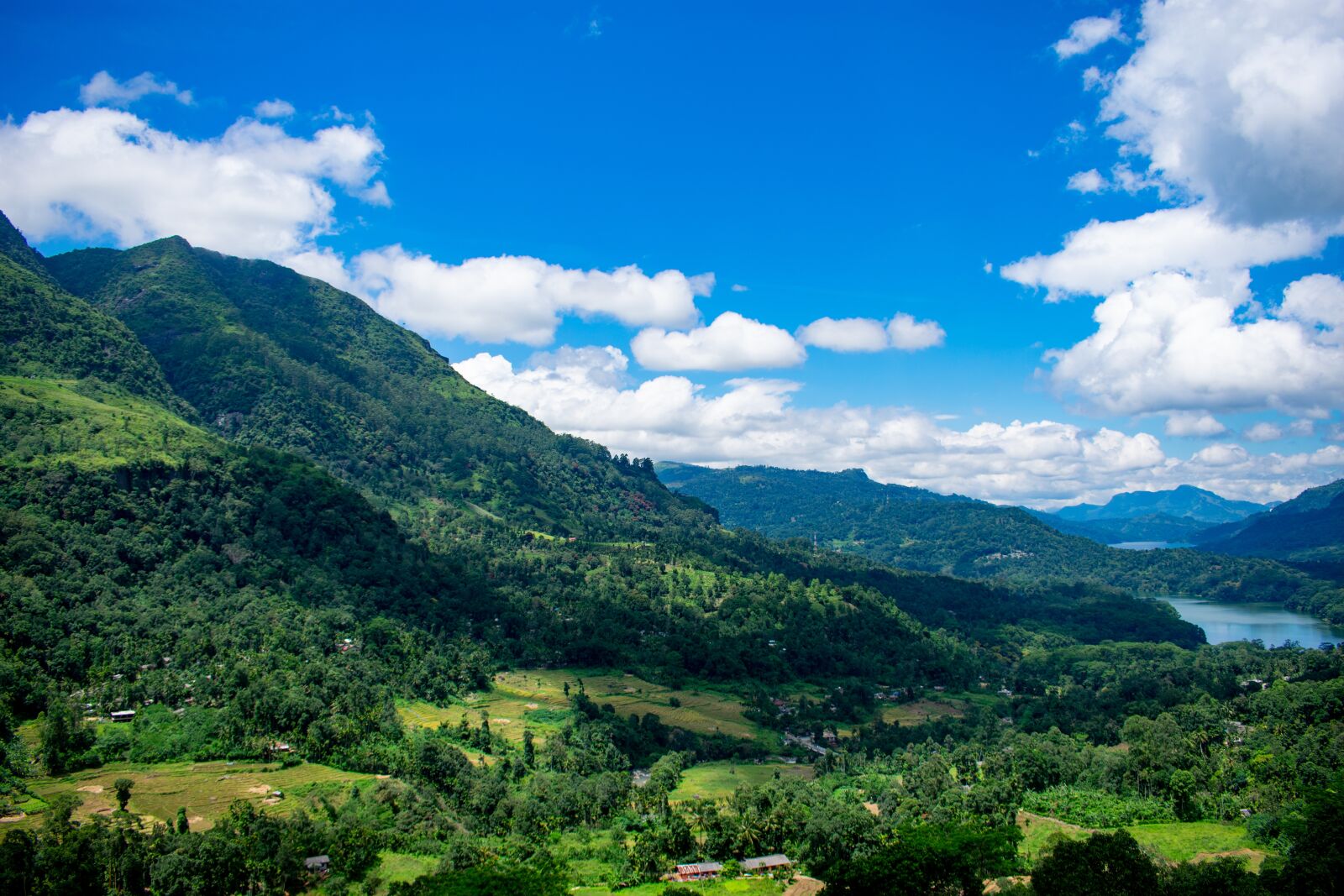 Nikon D3400 sample photo. Mountain, forrest, landscape photography