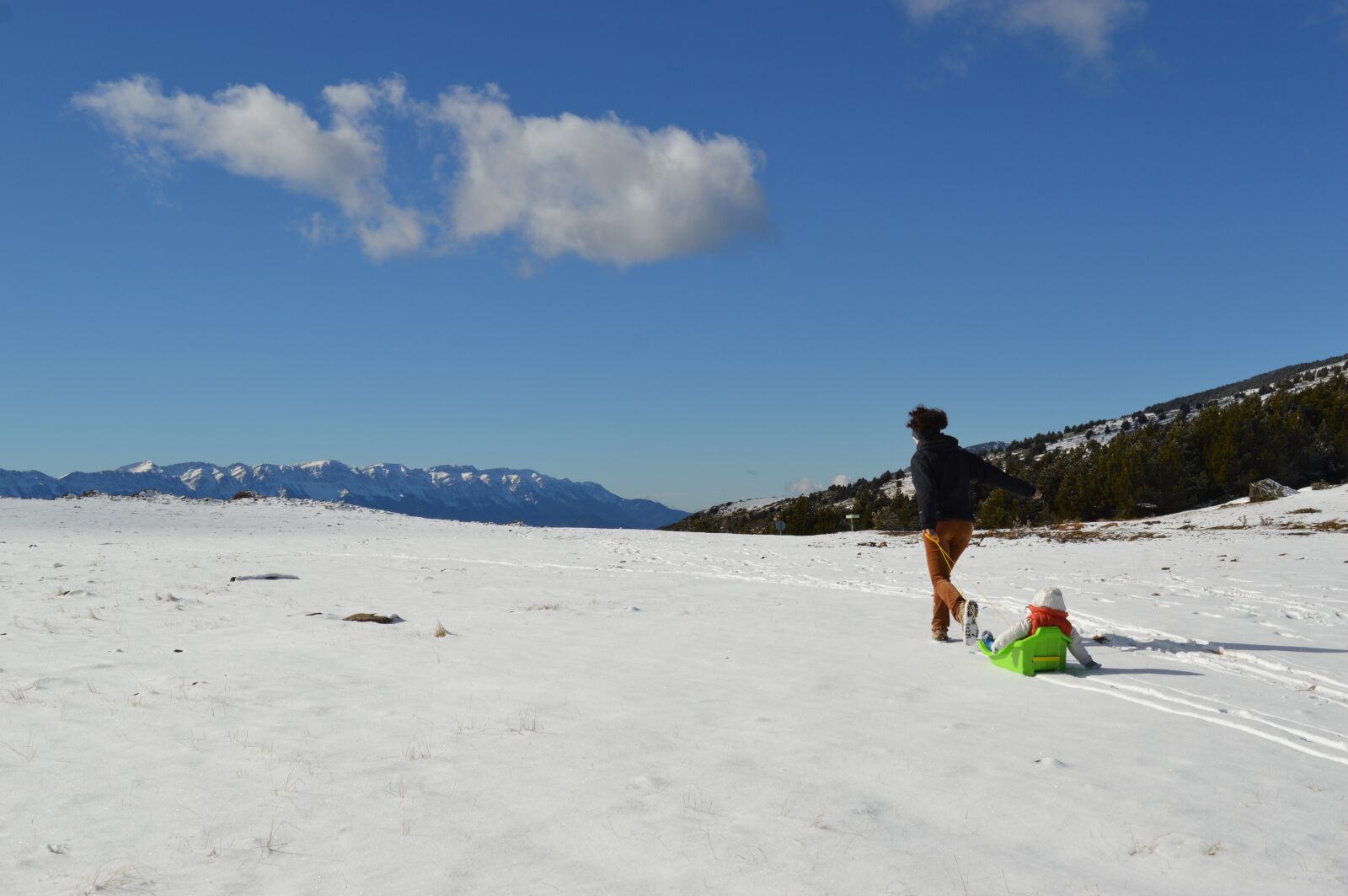 Nikon D3200 sample photo. Run, running, snow photography