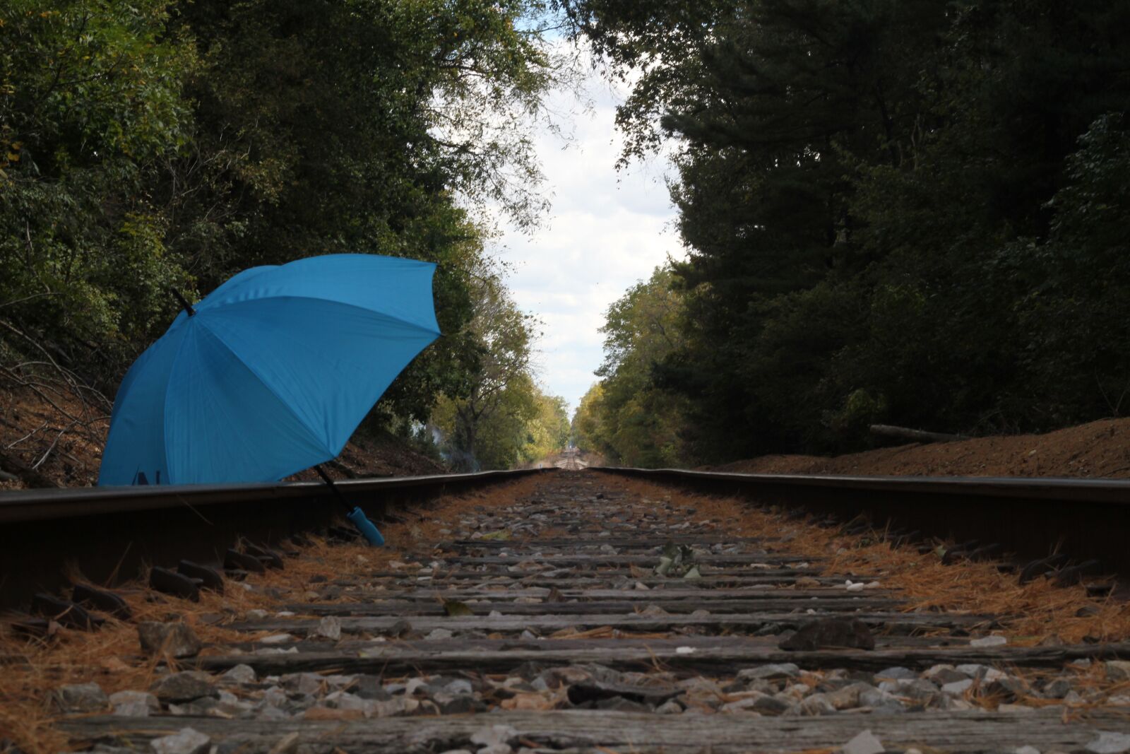 Canon EOS 550D (EOS Rebel T2i / EOS Kiss X4) sample photo. Railroad, scenic, background photography
