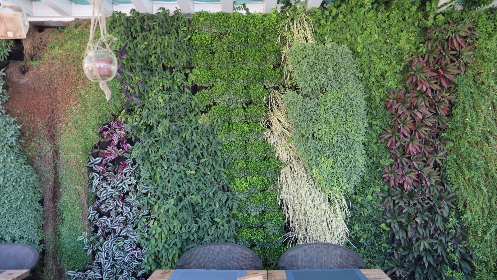 Canon EOS M50 (EOS Kiss M) sample photo. Vertical garden, plants, vertical photography
