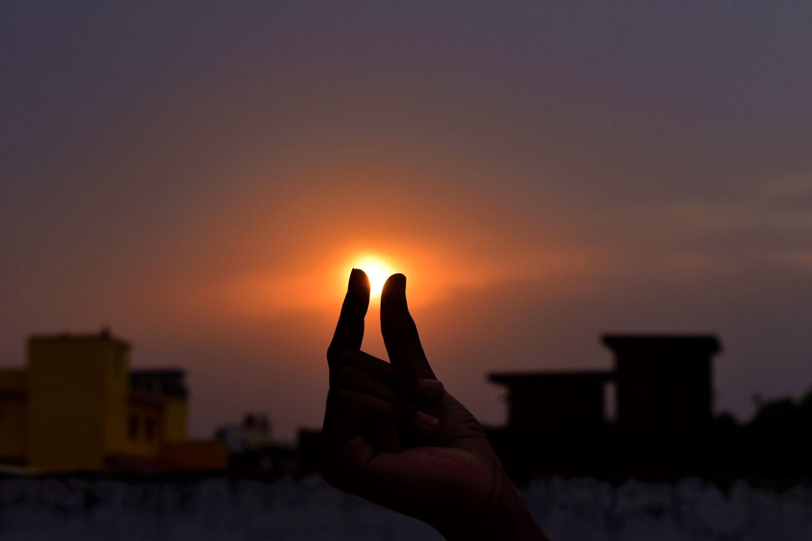 Nikon D5600 sample photo. Sunset, nature, landscape photography