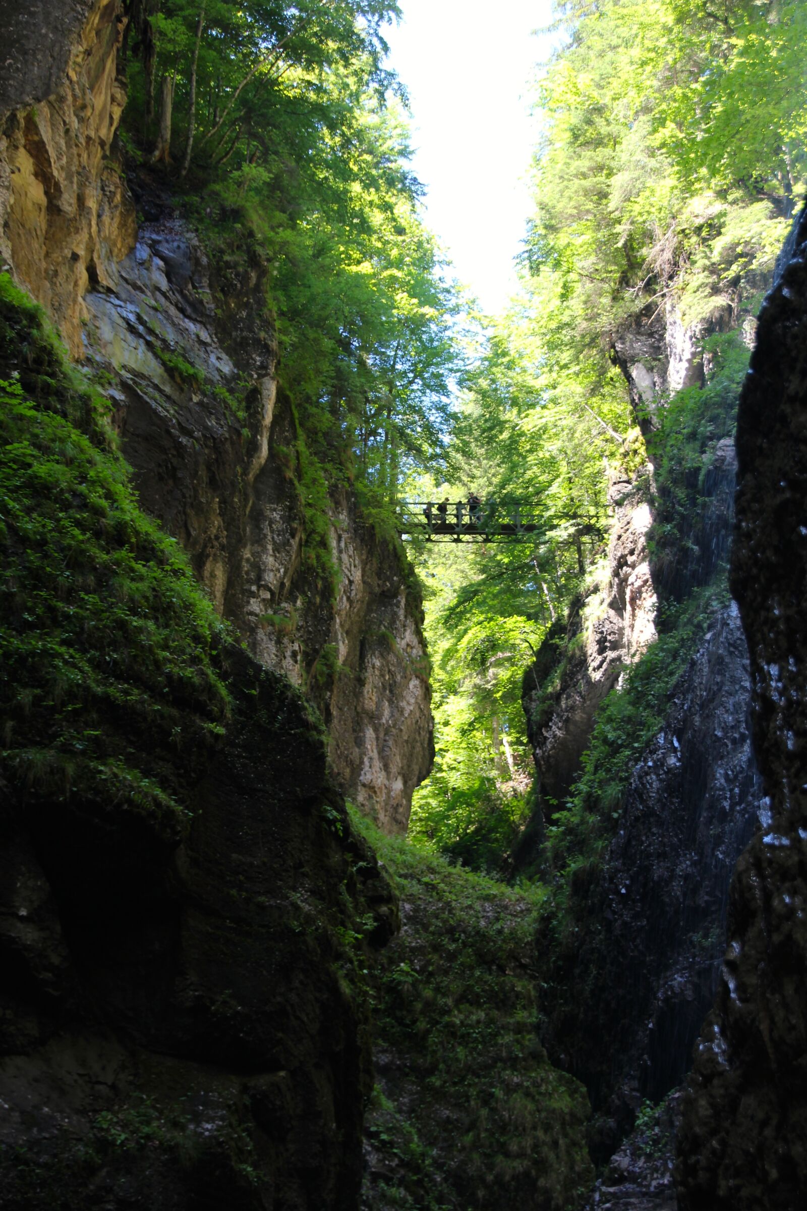 Canon EOS 600D (Rebel EOS T3i / EOS Kiss X5) sample photo. Bridge, partnachklamm, river photography