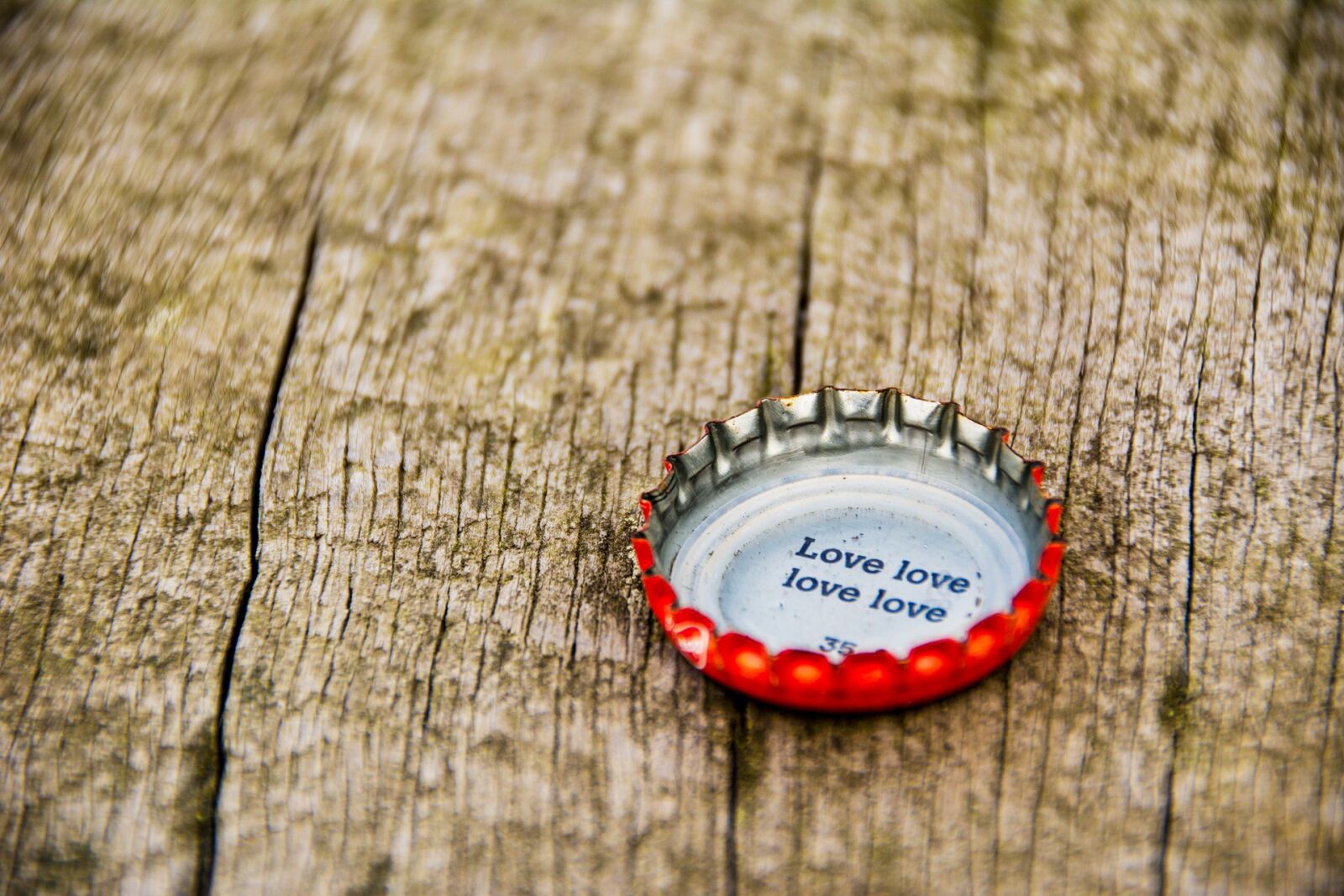 Nikon D7100 sample photo. Wooden, closeup, cap photography