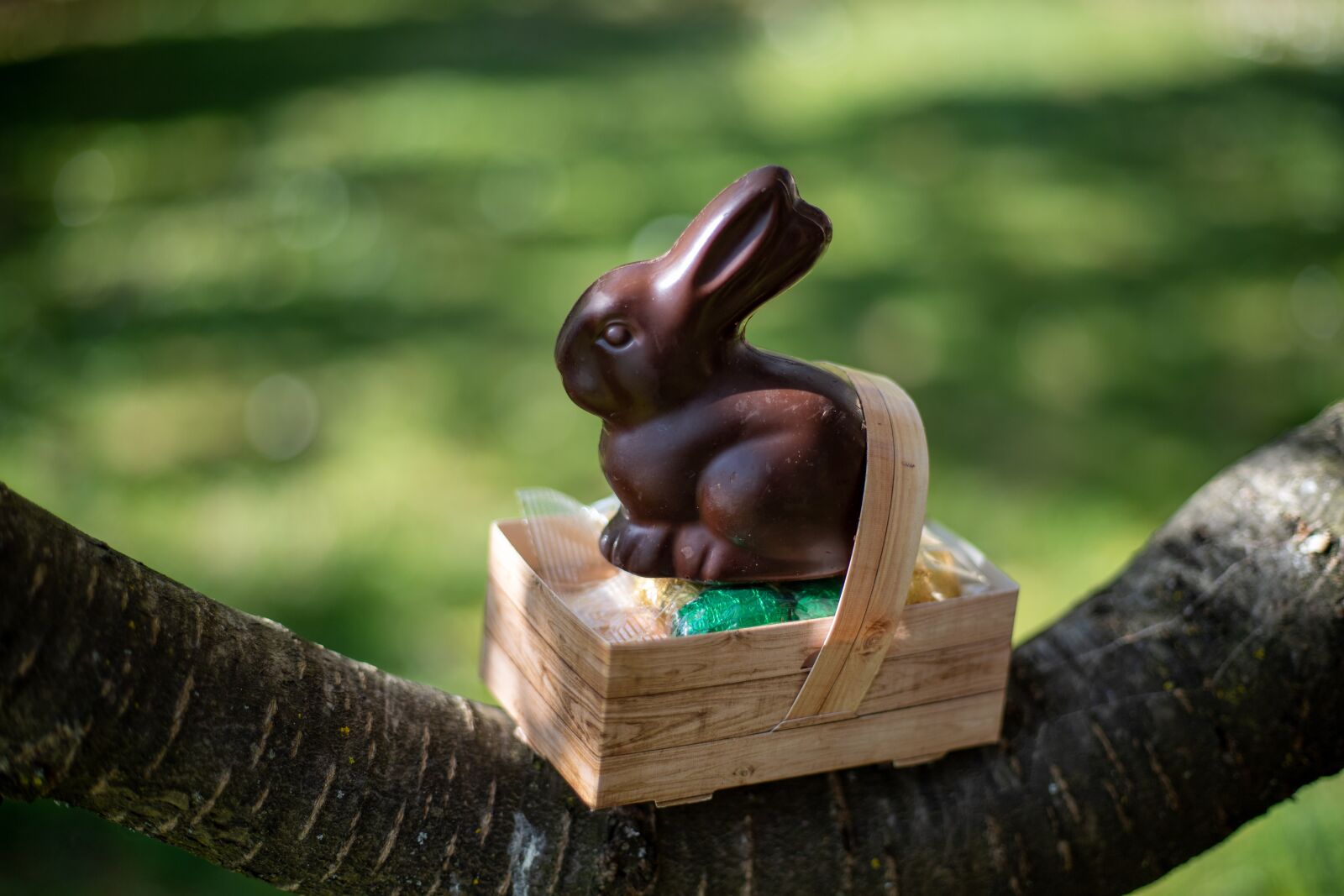 Canon EOS 6D Mark II sample photo. Garden, easter, chocolate photography