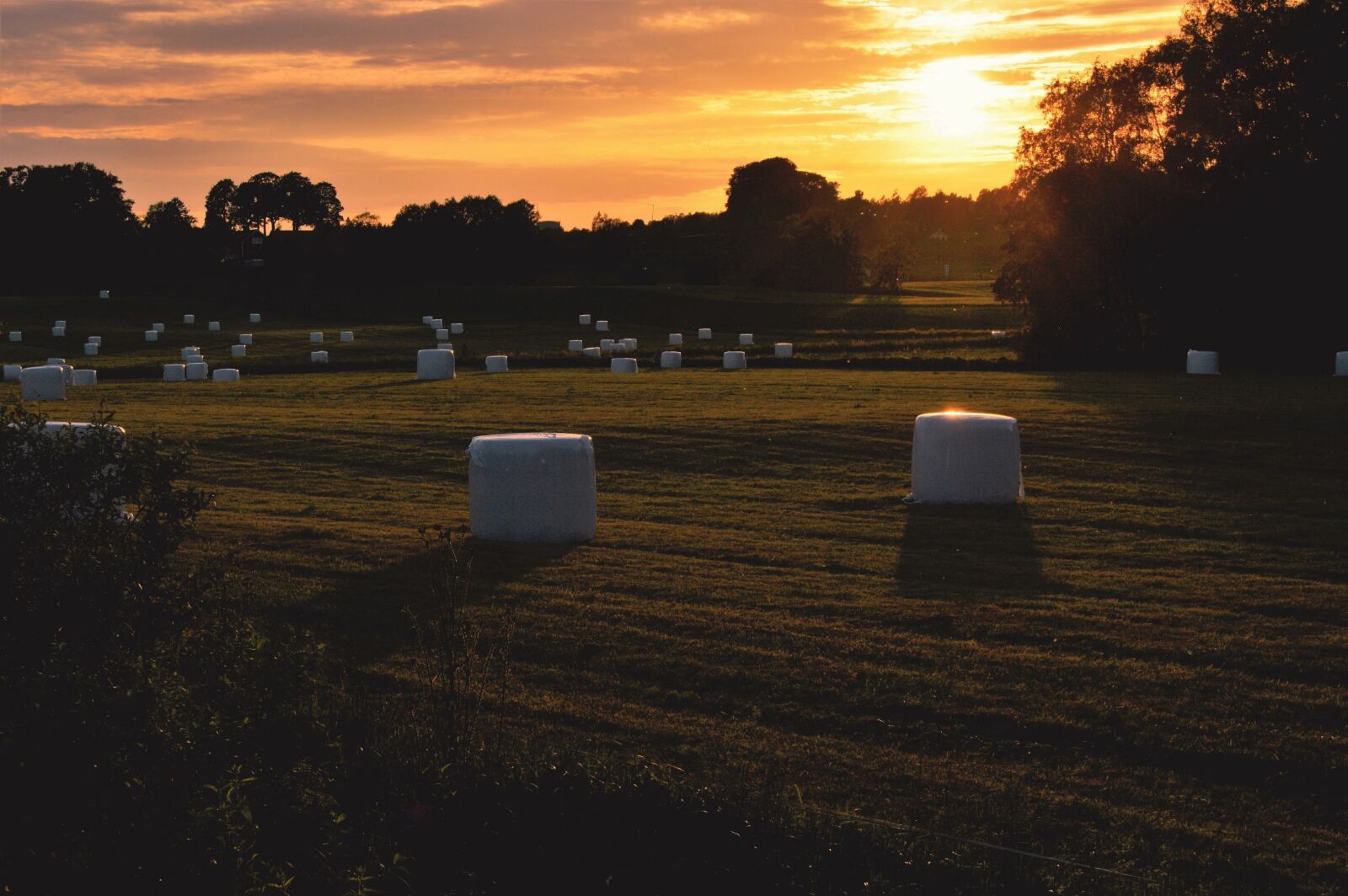 Nikon D3200 sample photo. Sunset, beautifully, outdoor photography