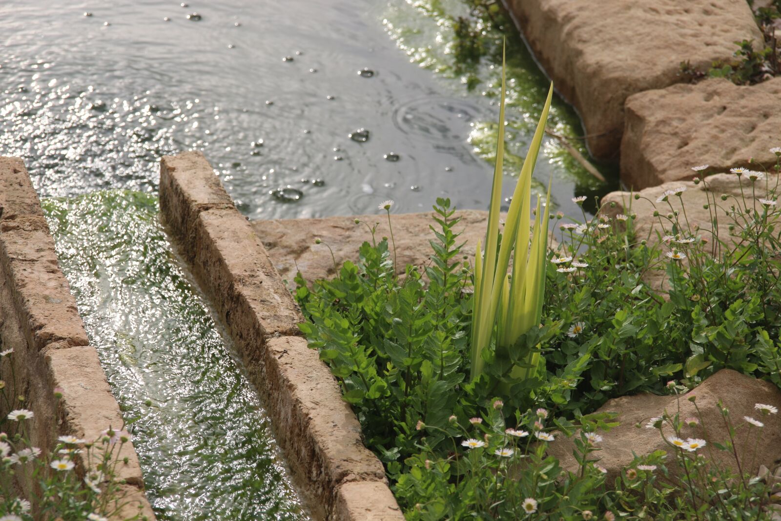 Canon EOS 70D sample photo. Raft, water, channel photography