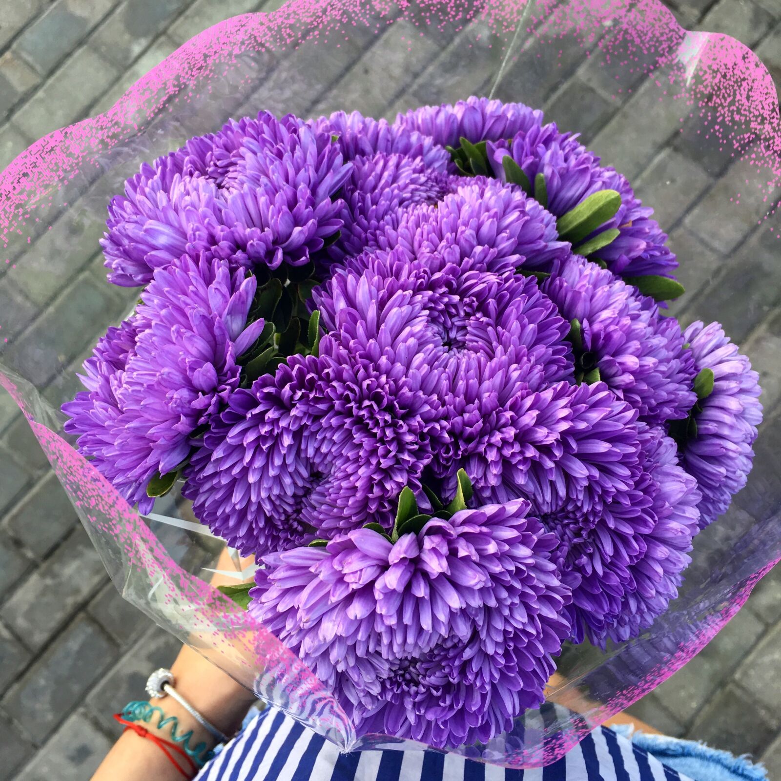 Apple iPhone 6s sample photo. Asters, bouquet, flowers photography