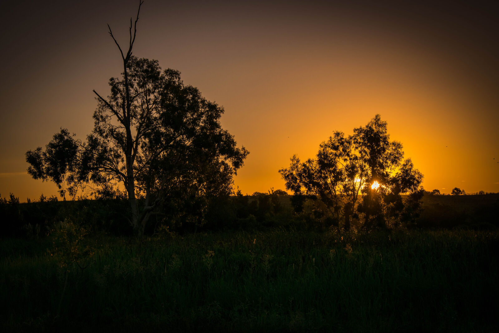 Nikon D5300 + Nikon AF-S DX Nikkor 18-105mm F3.5-5.6G ED VR sample photo. Adobe, lightroom, argentina, atardecer photography