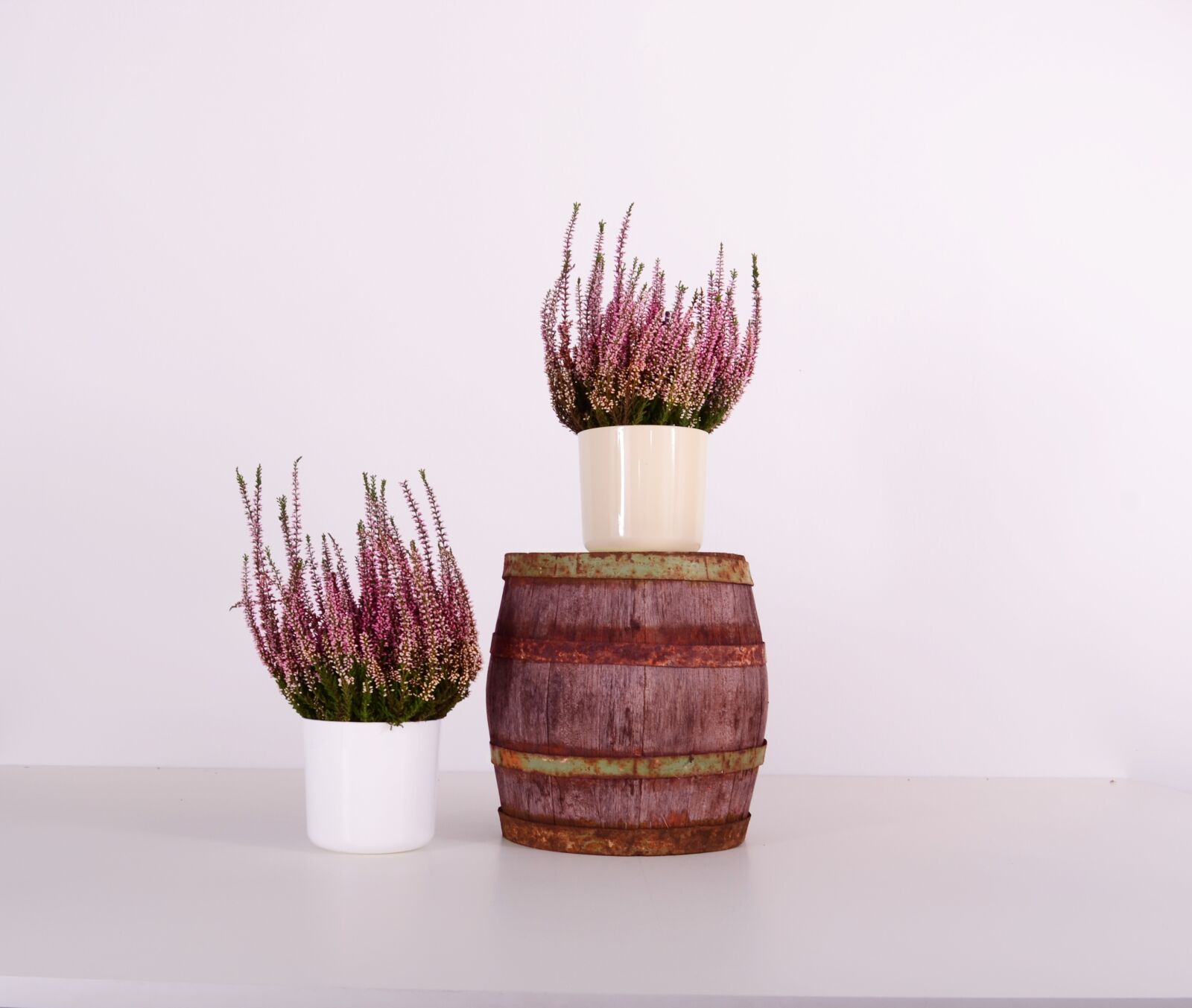 Nikon D3100 sample photo. Flowerpots, plastic, color photography