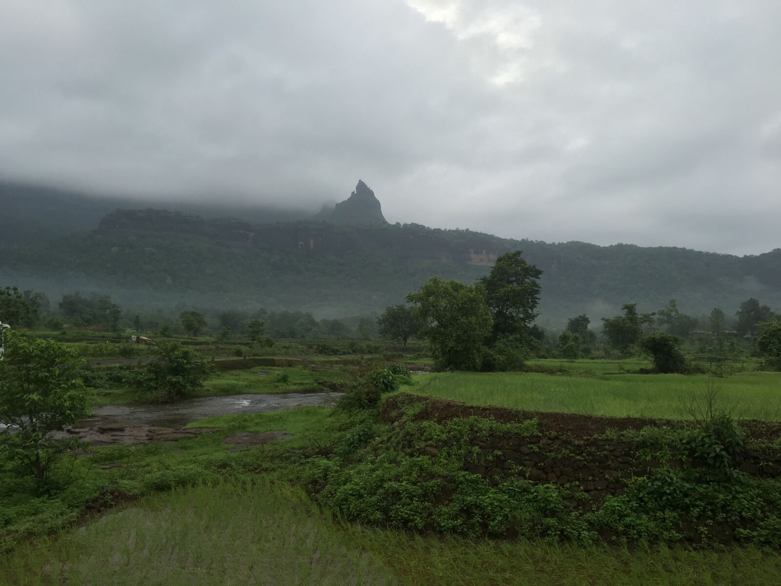 Apple iPhone 6s sample photo. Nature, sahayadri, monsoon photography