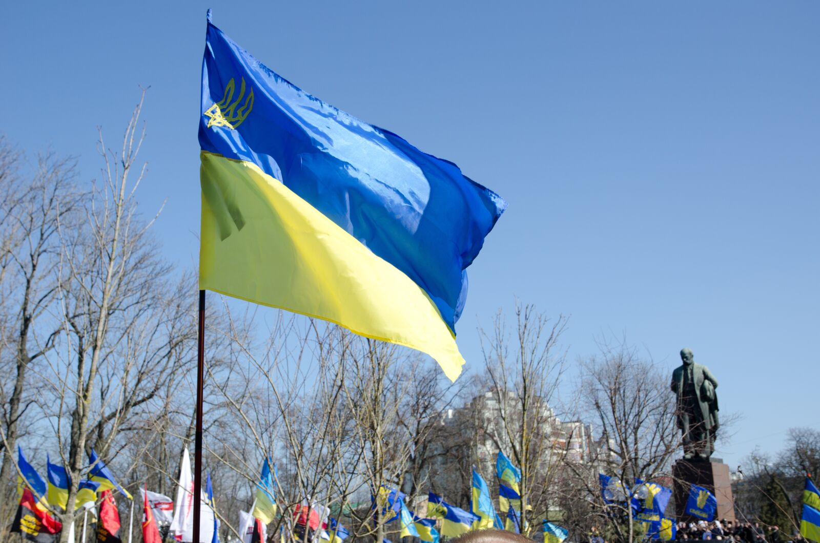 Nikon D7000 sample photo. Flag, banner, color photography