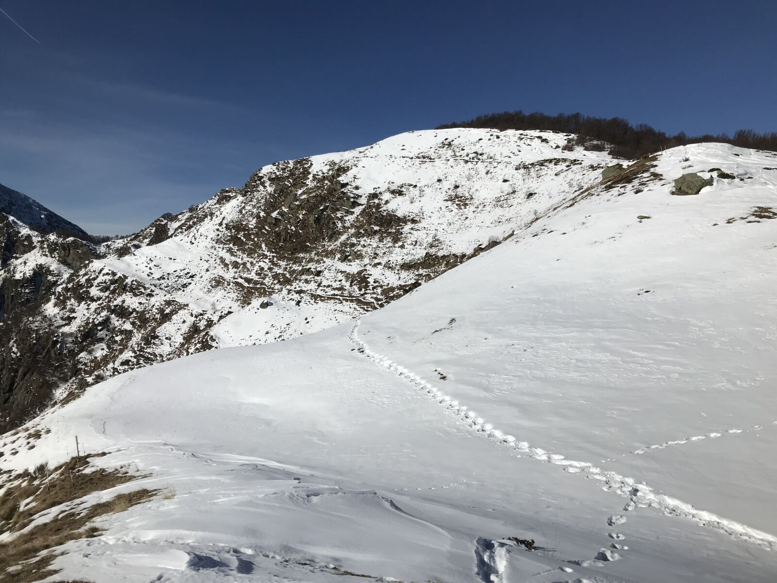 Apple iPhone 7 sample photo. Lace lion, alpine route photography