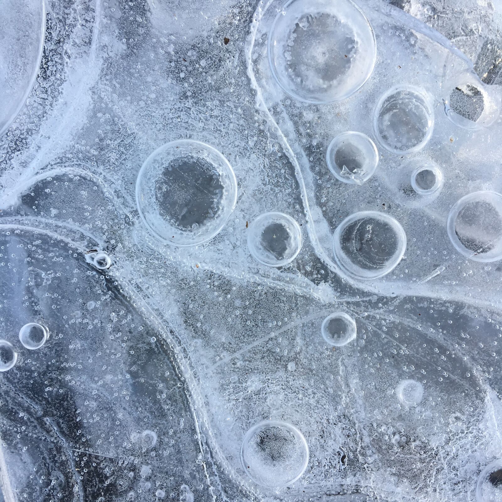 Apple iPhone 6s sample photo. Ice, winter, frozen photography