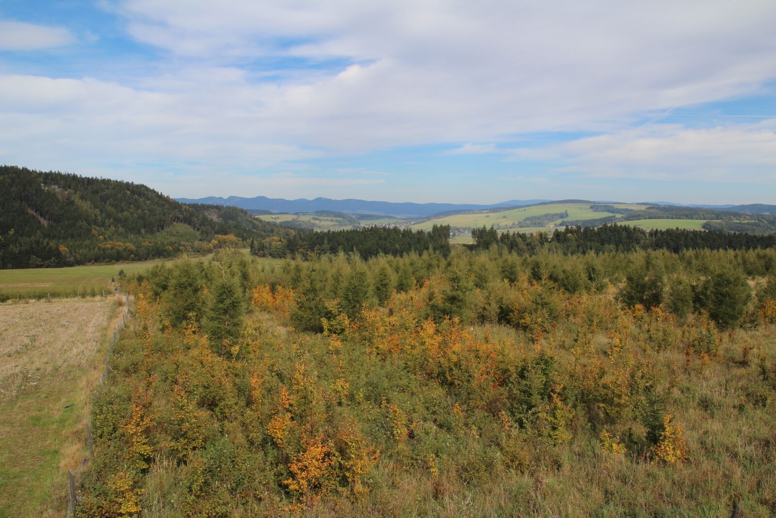 Canon EOS 600D (Rebel EOS T3i / EOS Kiss X5) sample photo. Meadow, forest, nature photography