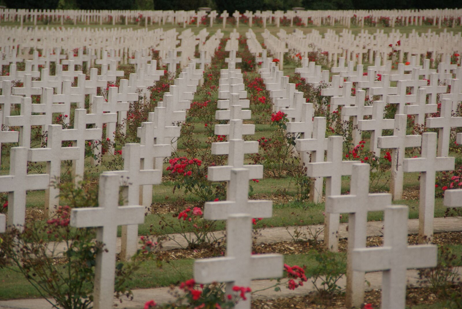 Sony Alpha DSLR-A200 sample photo. Verdun, war graves, war photography