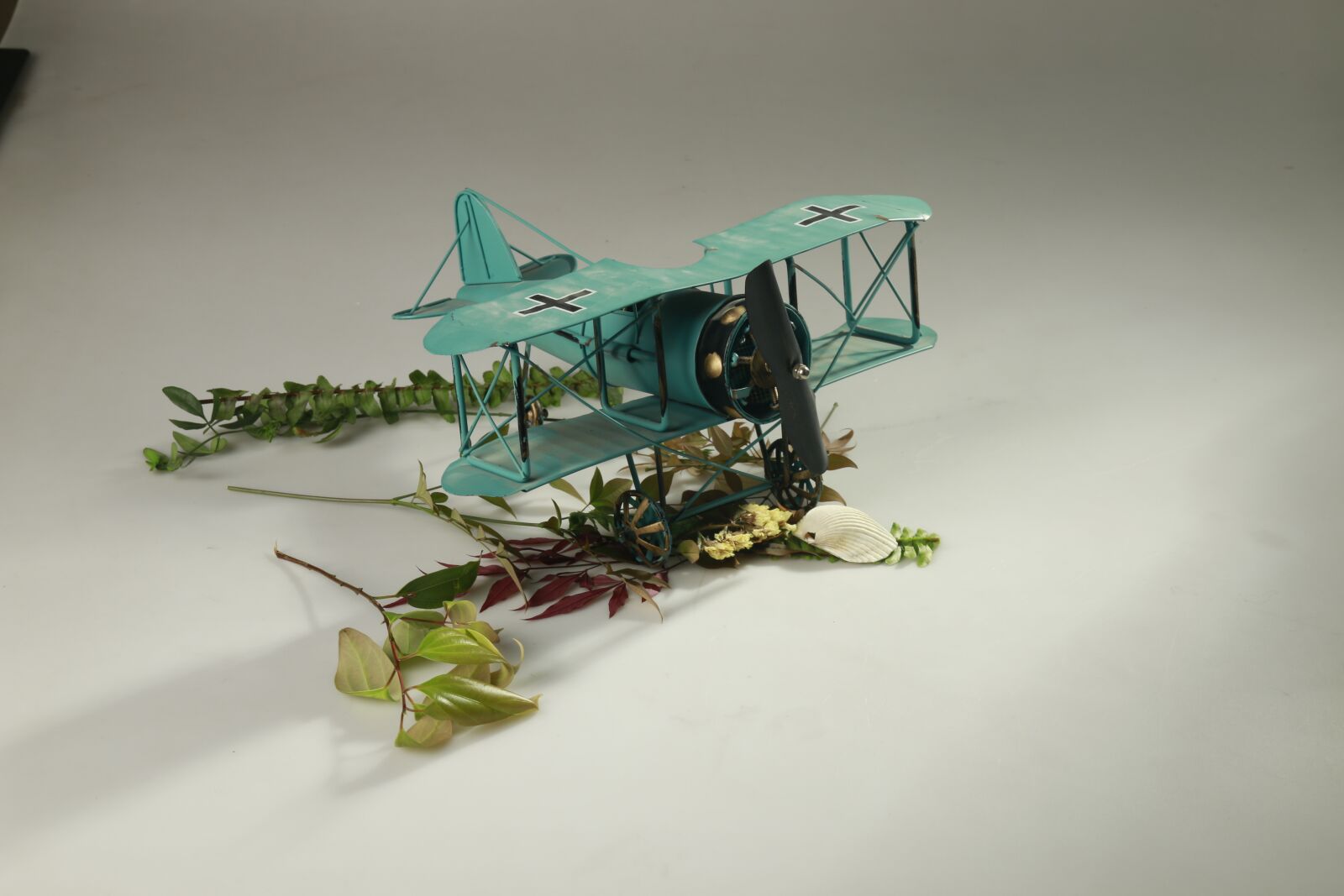 Canon EF-S 18-135mm F3.5-5.6 IS sample photo. Aircraft, model, indoor photography photography