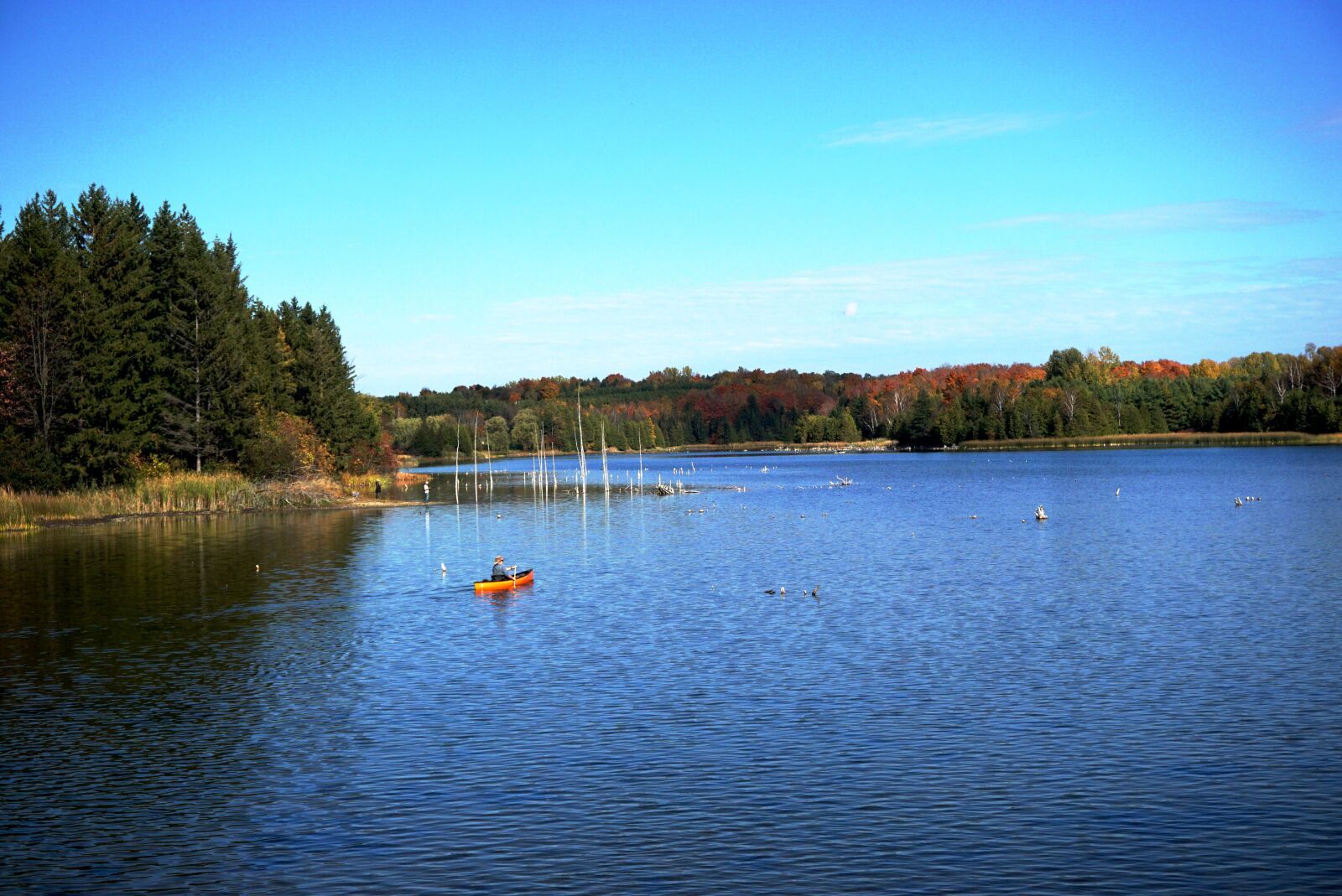 Sony E 16-50mm F3.5-5.6 PZ OSS sample photo. Lake, casualty, fishing photography