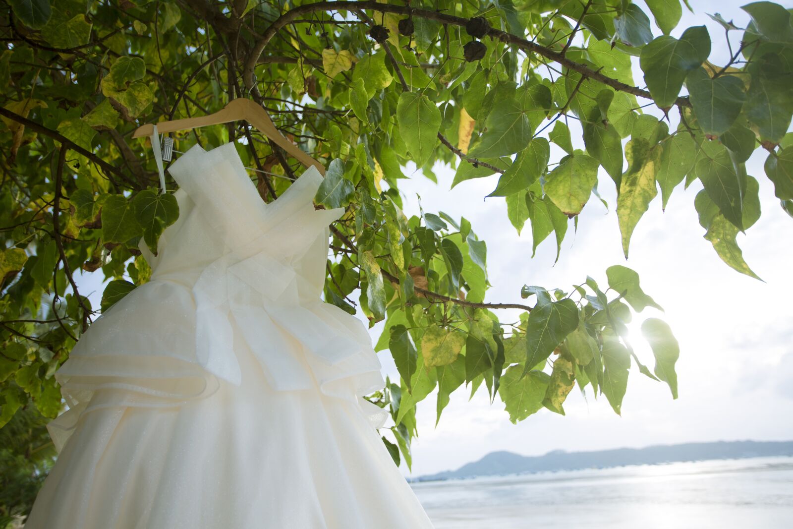 Canon EOS 5D Mark III + Canon EF 17-40mm F4L USM sample photo. Wedding dresses, beach, tree photography