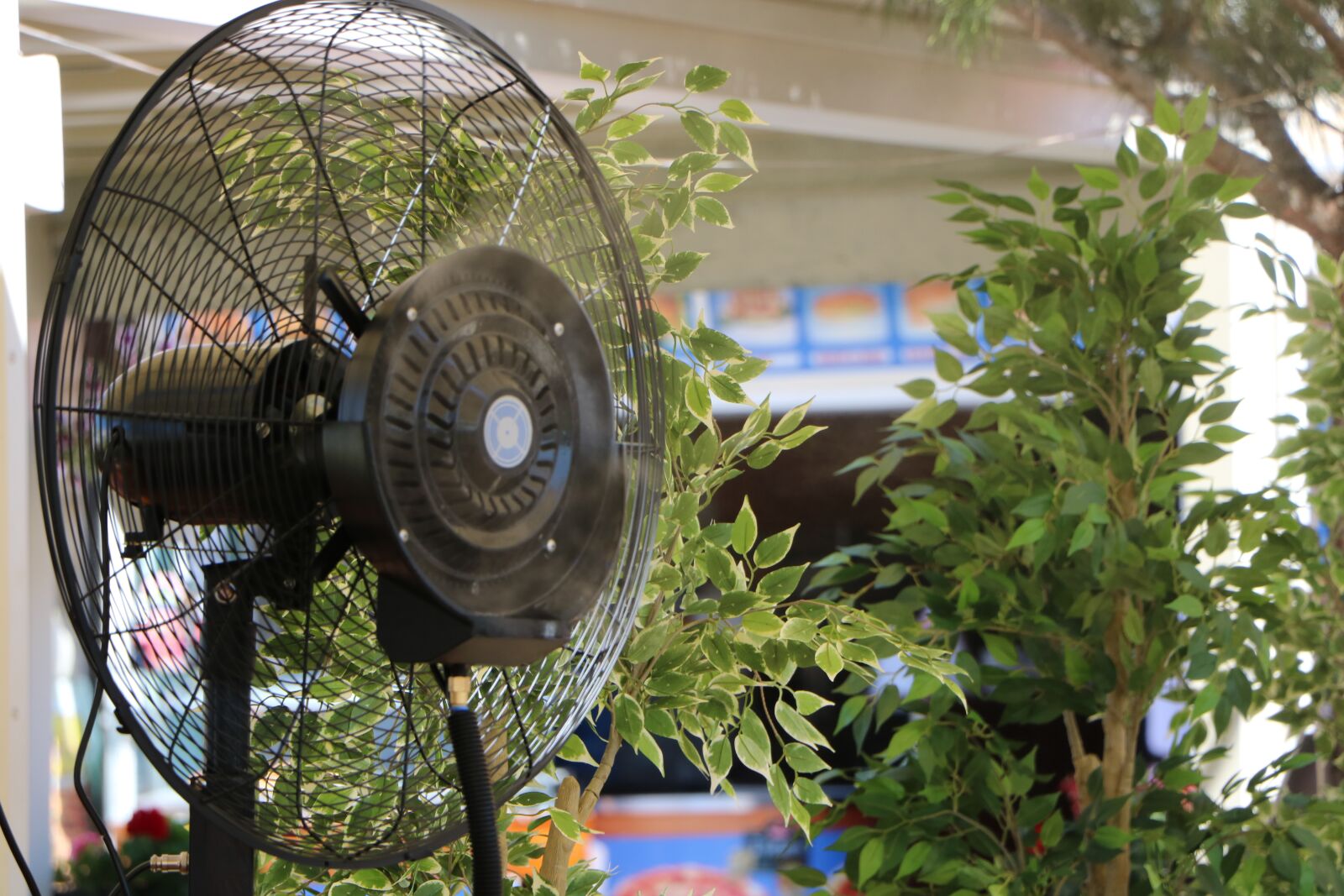 Canon EOS 760D (EOS Rebel T6s / EOS 8000D) sample photo. Fan, hot, cold photography