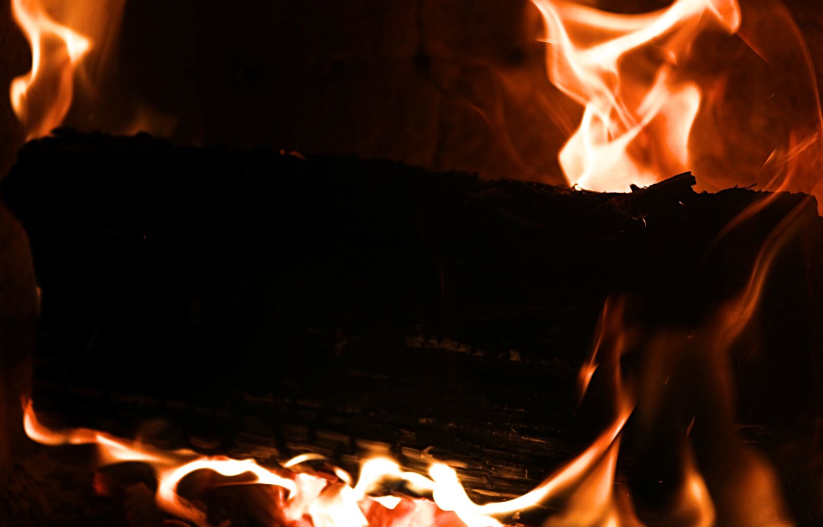 Canon EOS 600D (Rebel EOS T3i / EOS Kiss X5) sample photo. Fire, wood, flame photography